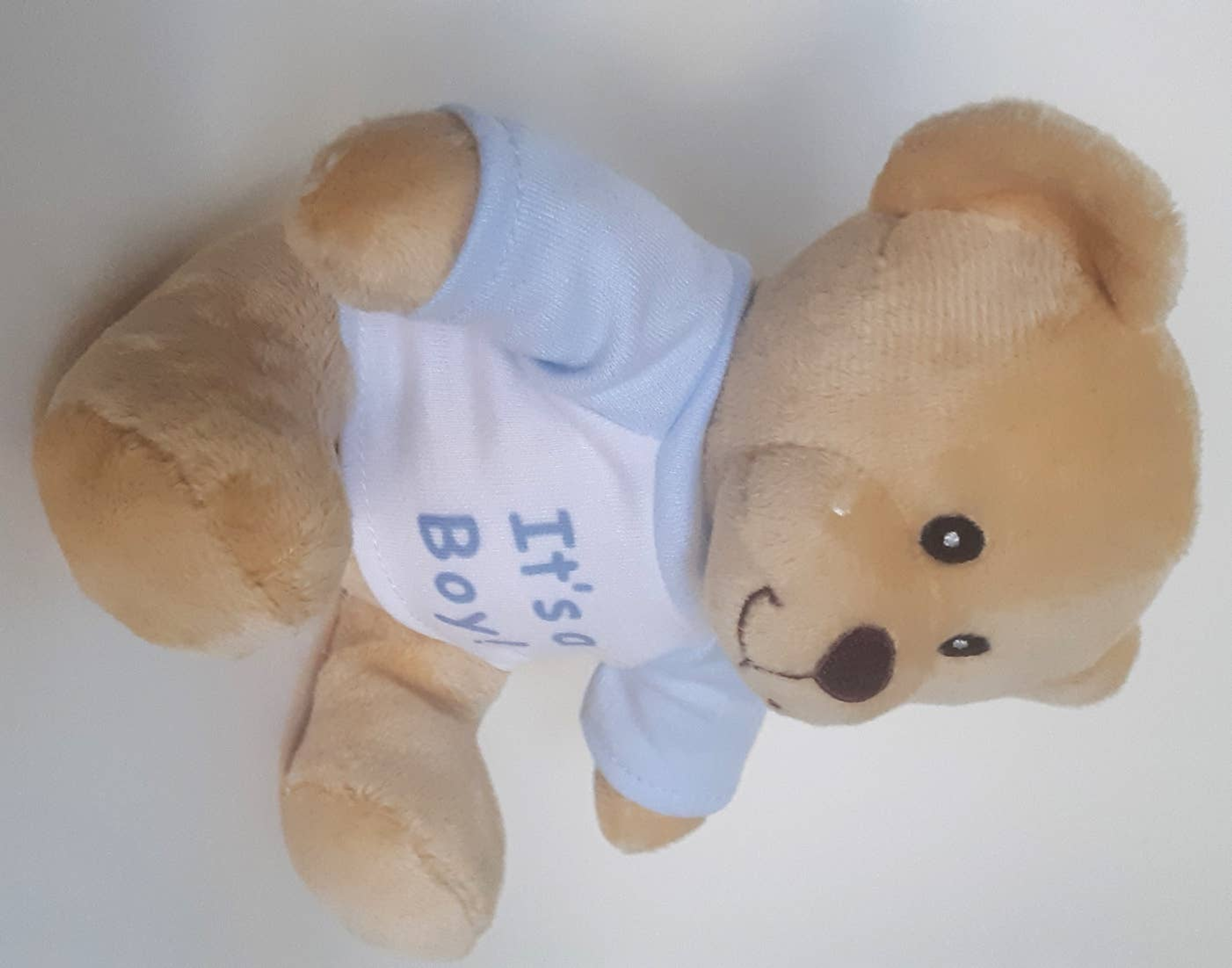 Teddy Bear Gender Reveal Soft Plush Adorable 6 Inch Baby Blue Shirt Cute Comfort Childrens Toy