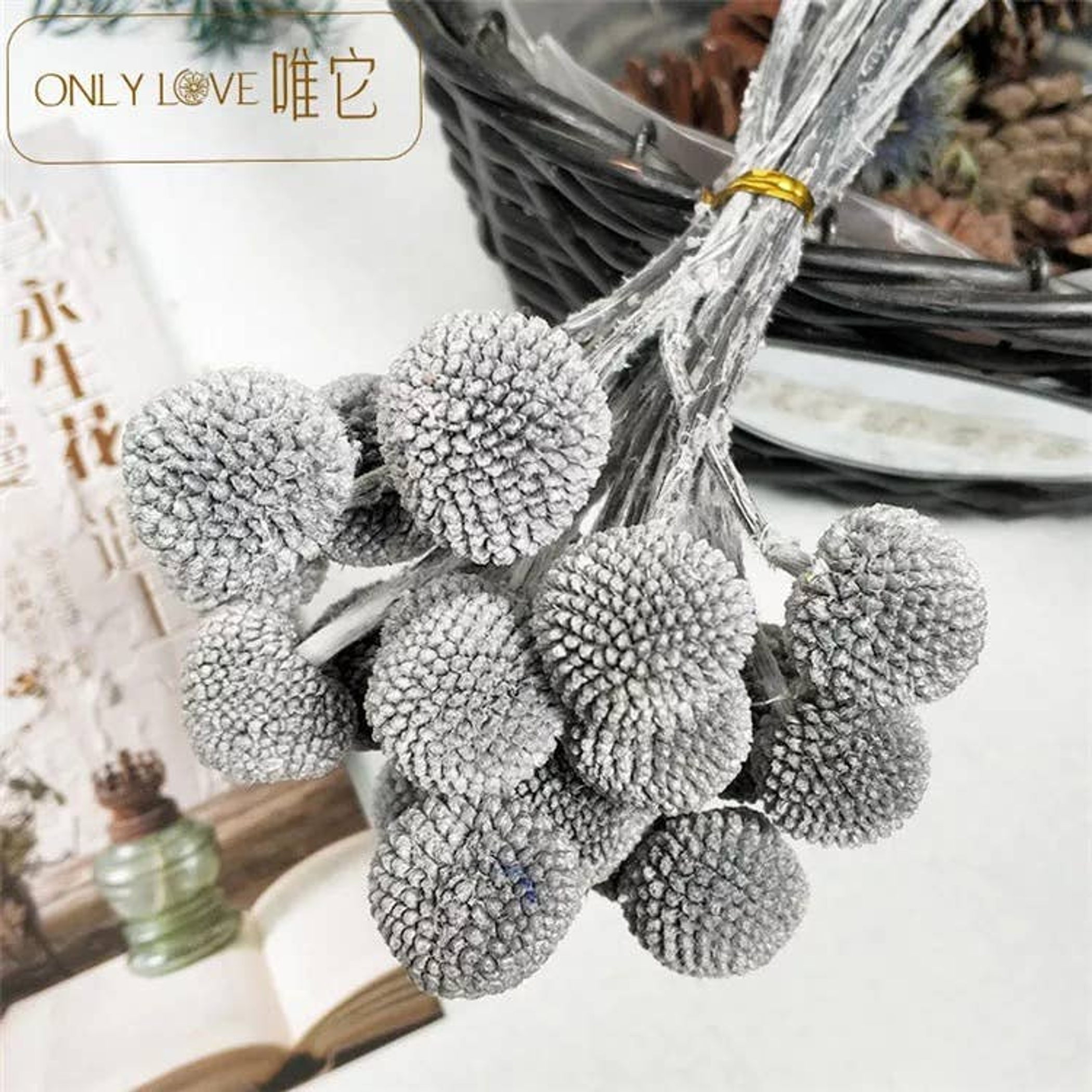 Flower Bunch Preserved Globosa Natural Color Balls Average Size 0.6 Inch to 1 Inch Diameter About 15 to 18 Individual Plants 20 Inch Stems