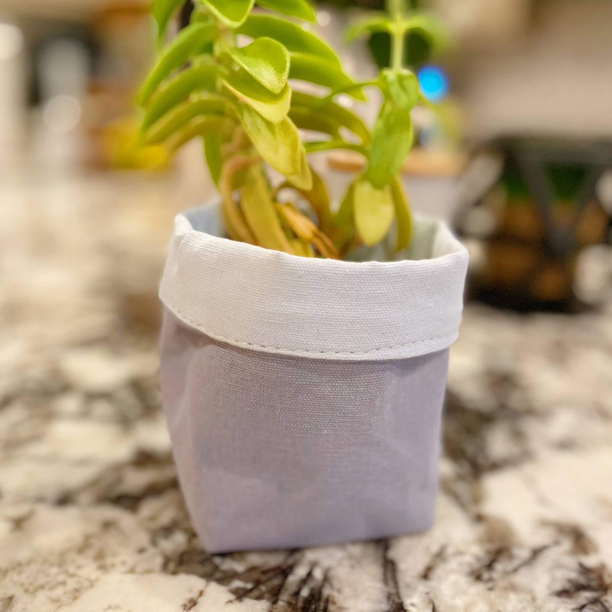 Plant Cover Reversible Burlap and Canvas Small Indoor Pots Approximately 4 Inches Cute Desk Pencil Holders
