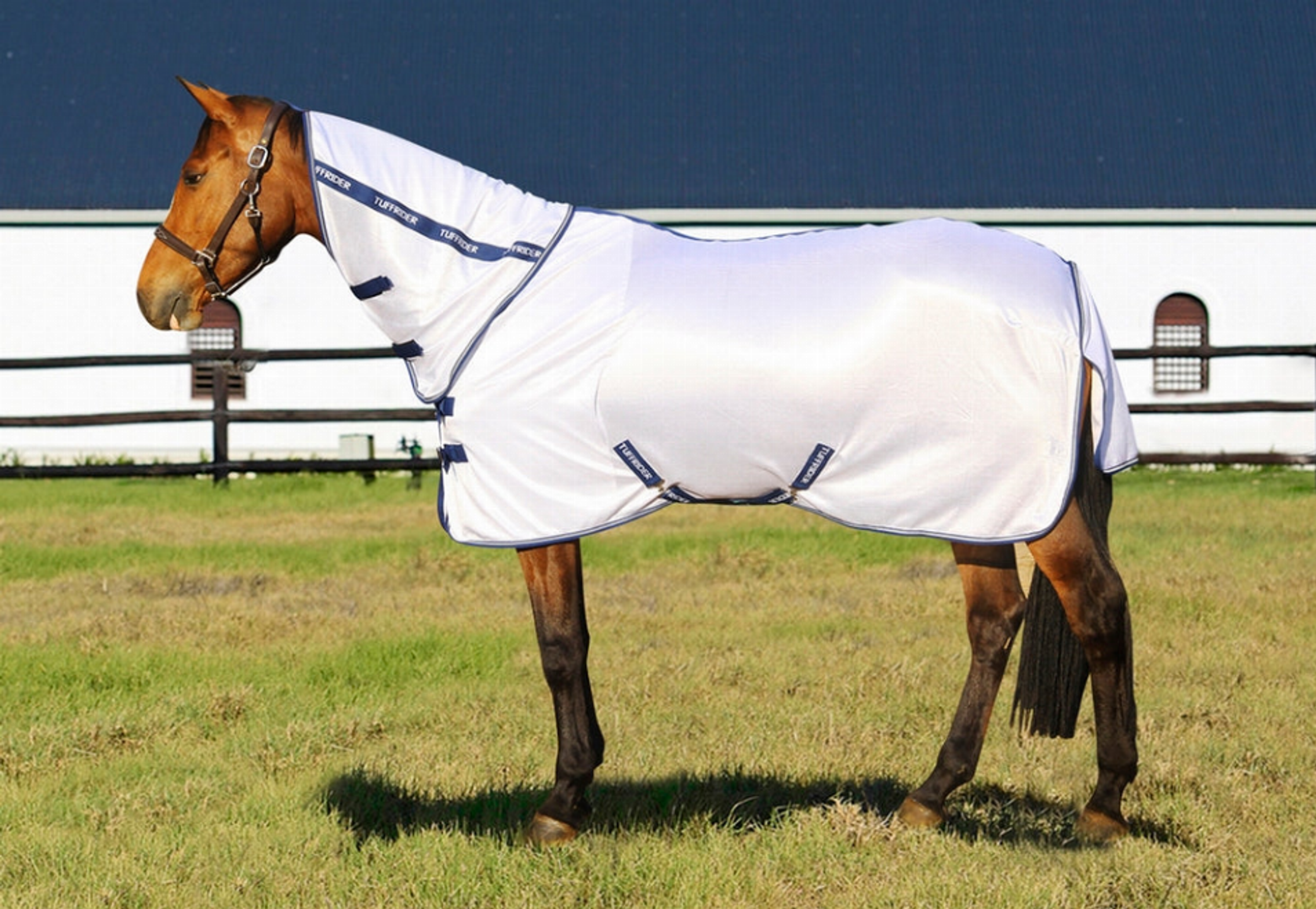 Fly Sheet Combo-Neck Protects Against Sunlight and Flies 50% UV Protection Breathable Polyester Mesh Four Colors