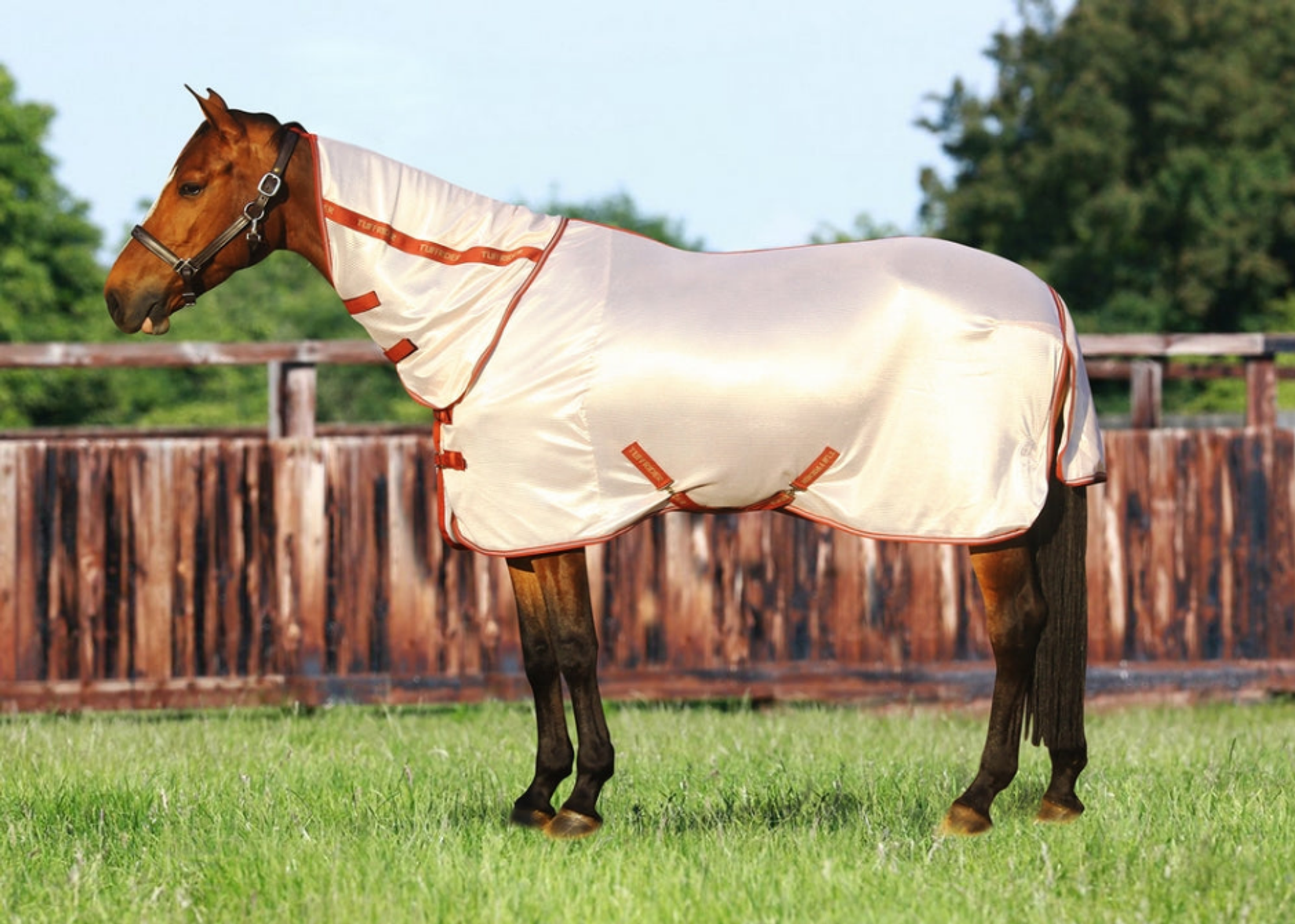 Fly Sheet UV Protection Breathable Polyester Mesh Adjustable Fit Four Colors