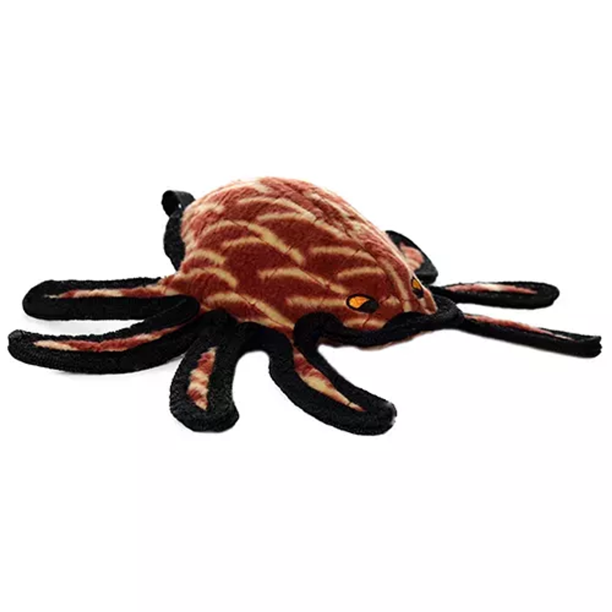 Tuffy Desert Spider Image 1
