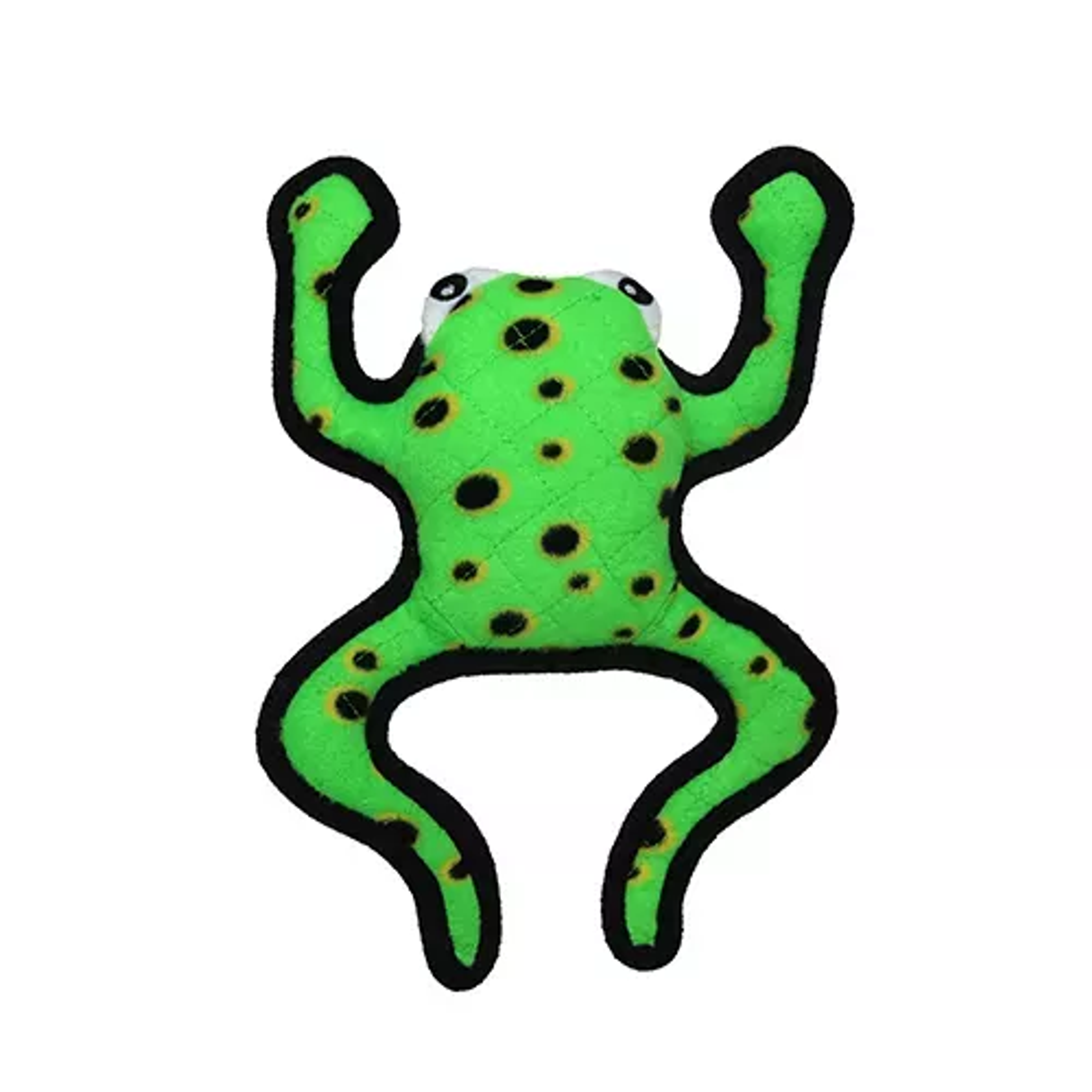 Desert Frog leaping Image 1