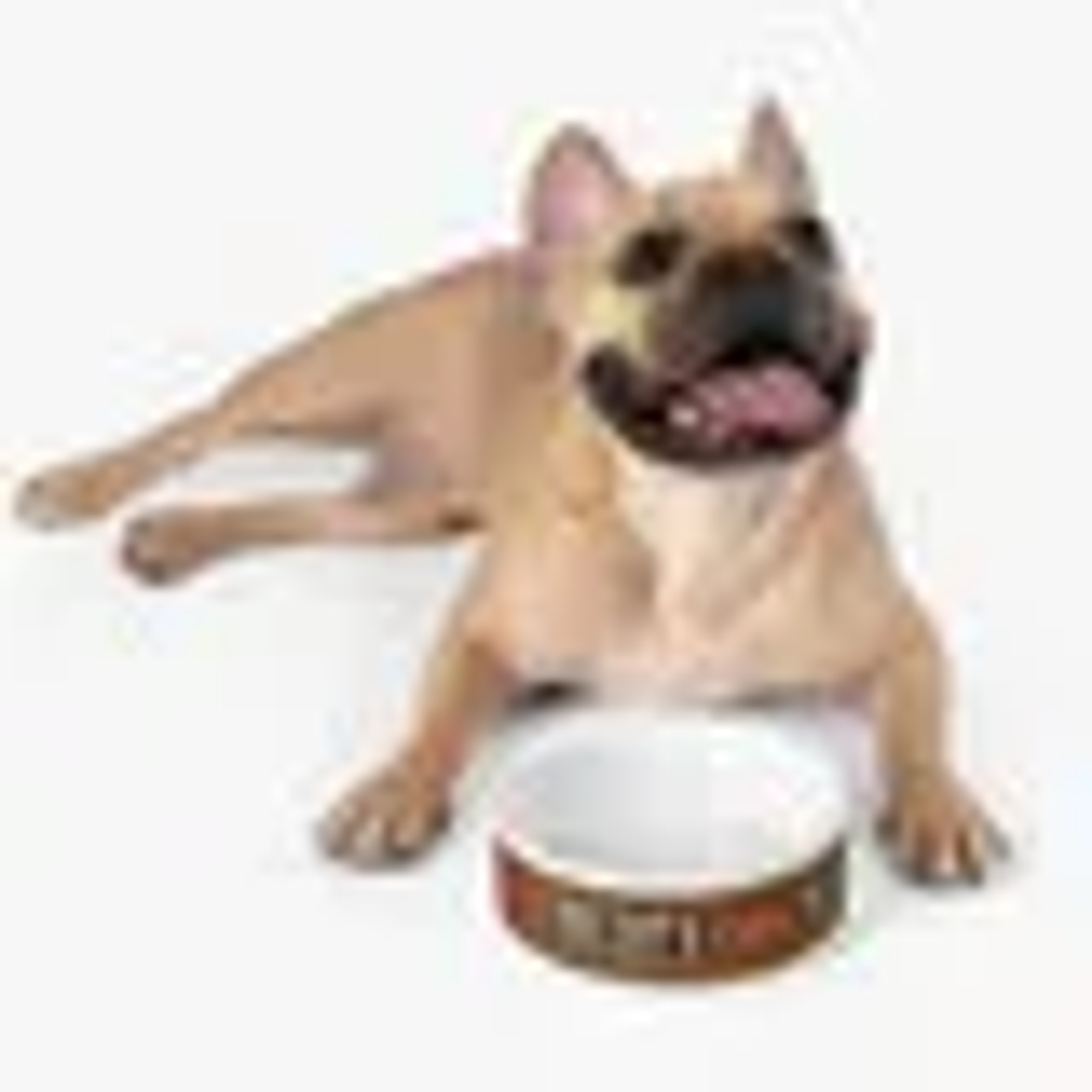 Savage Love Pet Feeding Bowl Image 1
