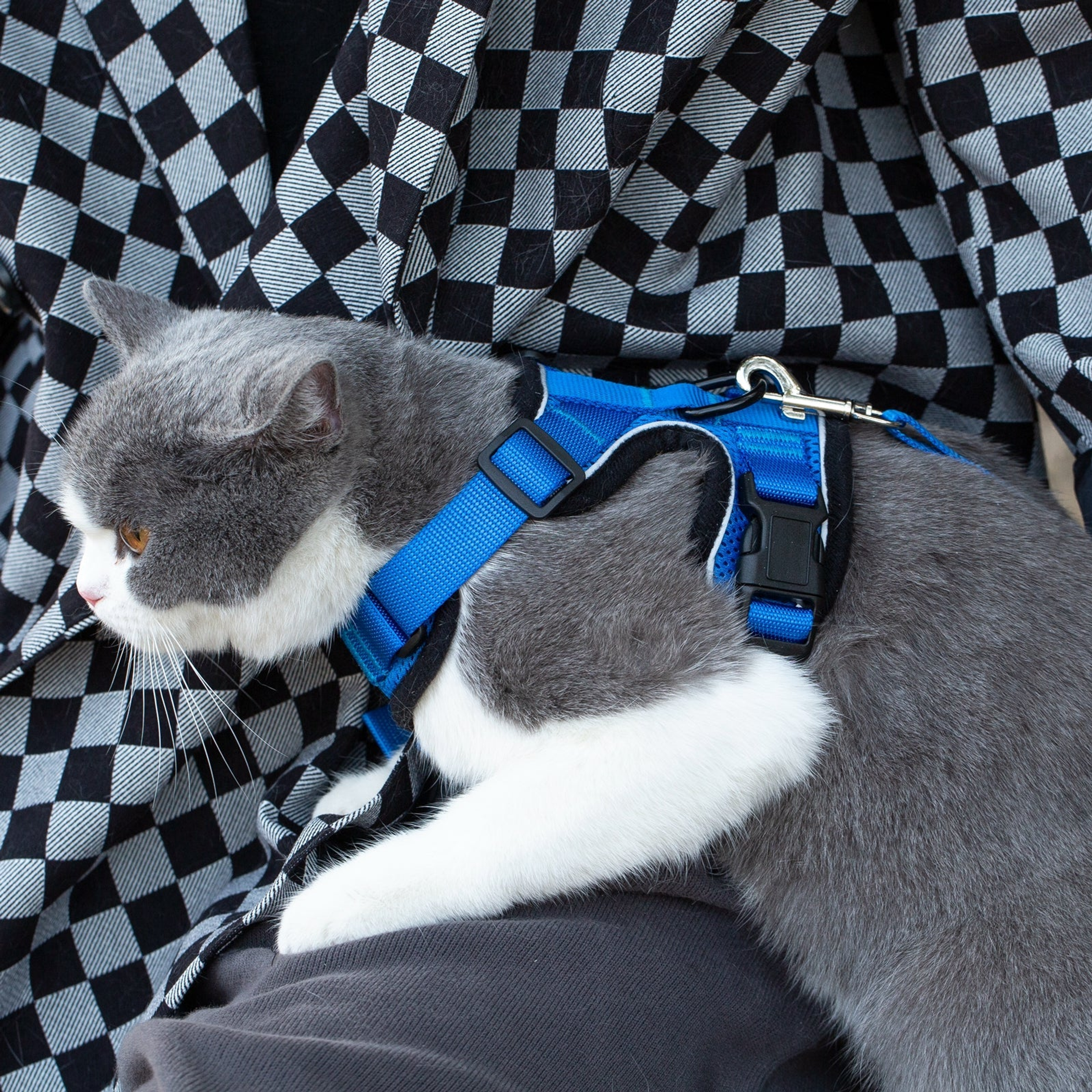 Mr. Peanut's PurrTrek Reflective Cat Harness with Matching Leash Image 1