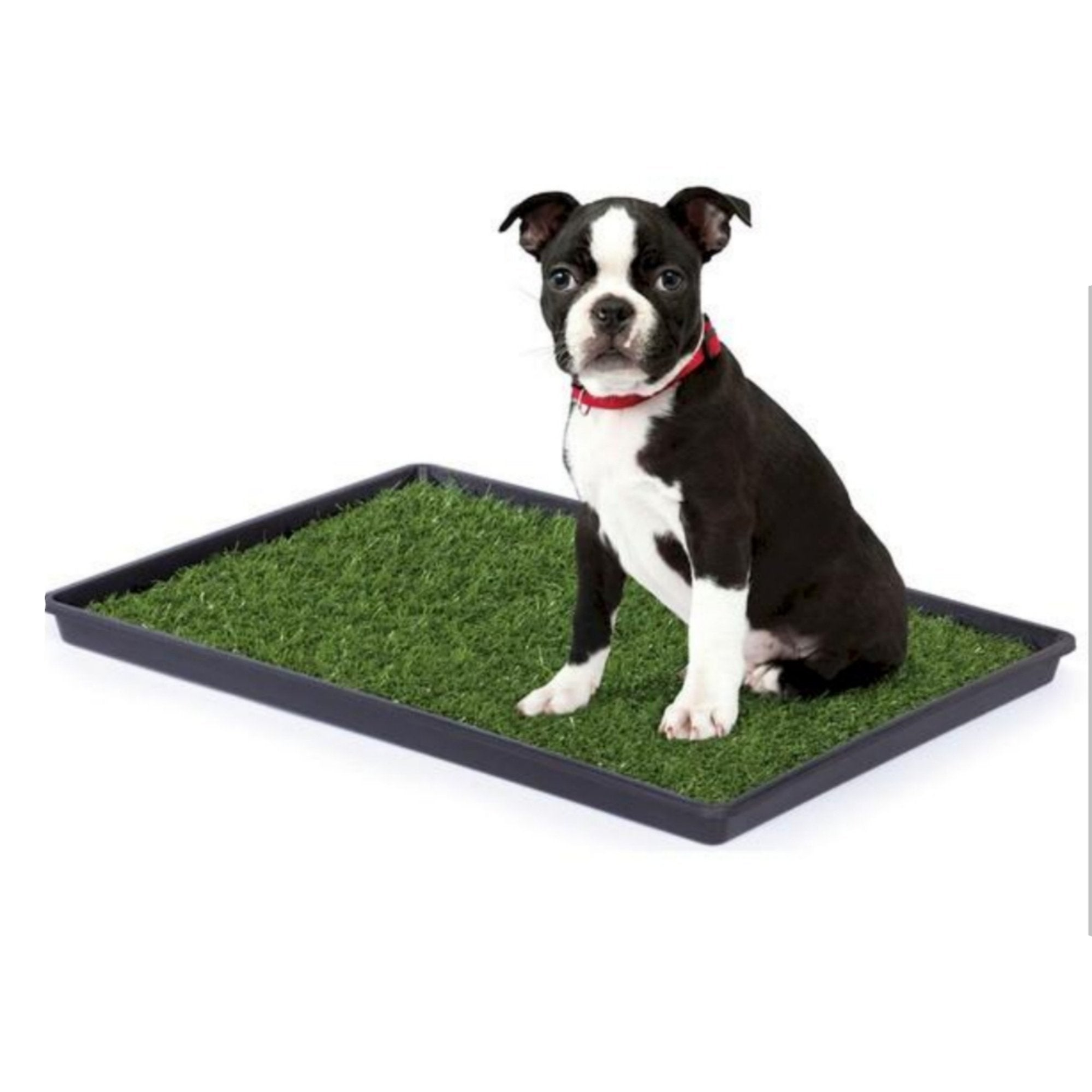 Mr. Peanut's Potty Place - Artificial Grass Puppy Pad for Dogs and Small Pets Image 1