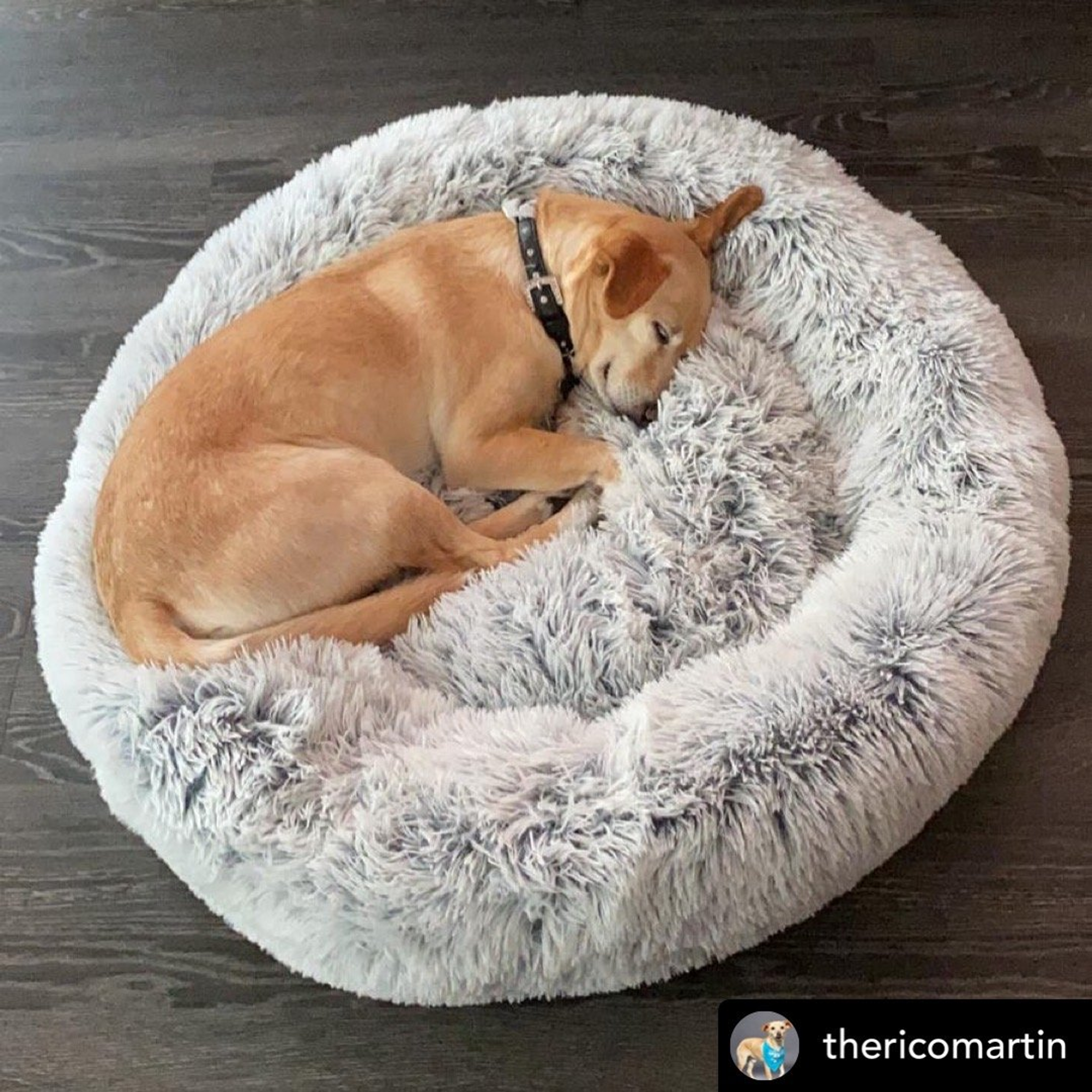 Mr. Peanut's OrthoPlush Pet Bed Image 1