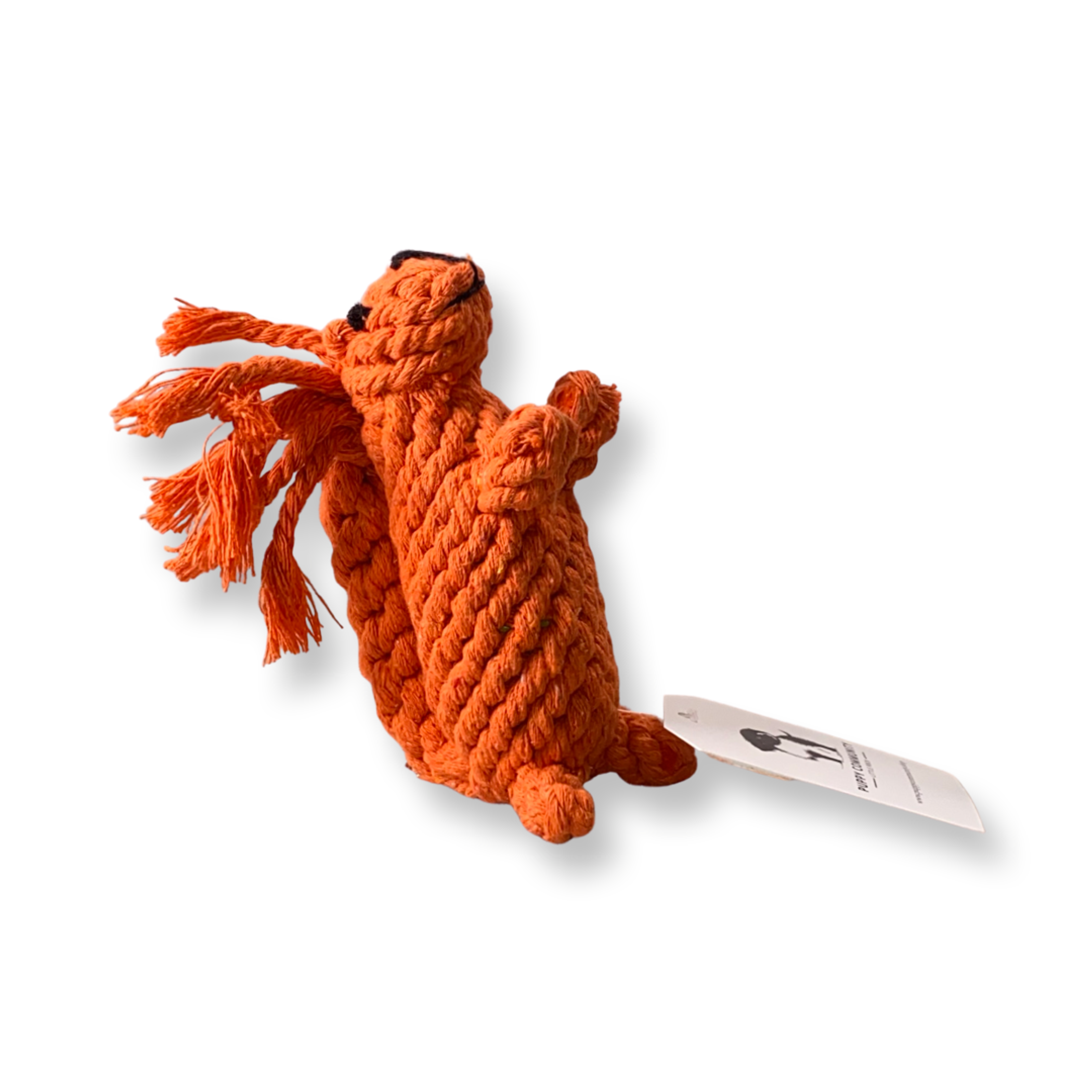 Squirrel Rope Dog Toy Image 1