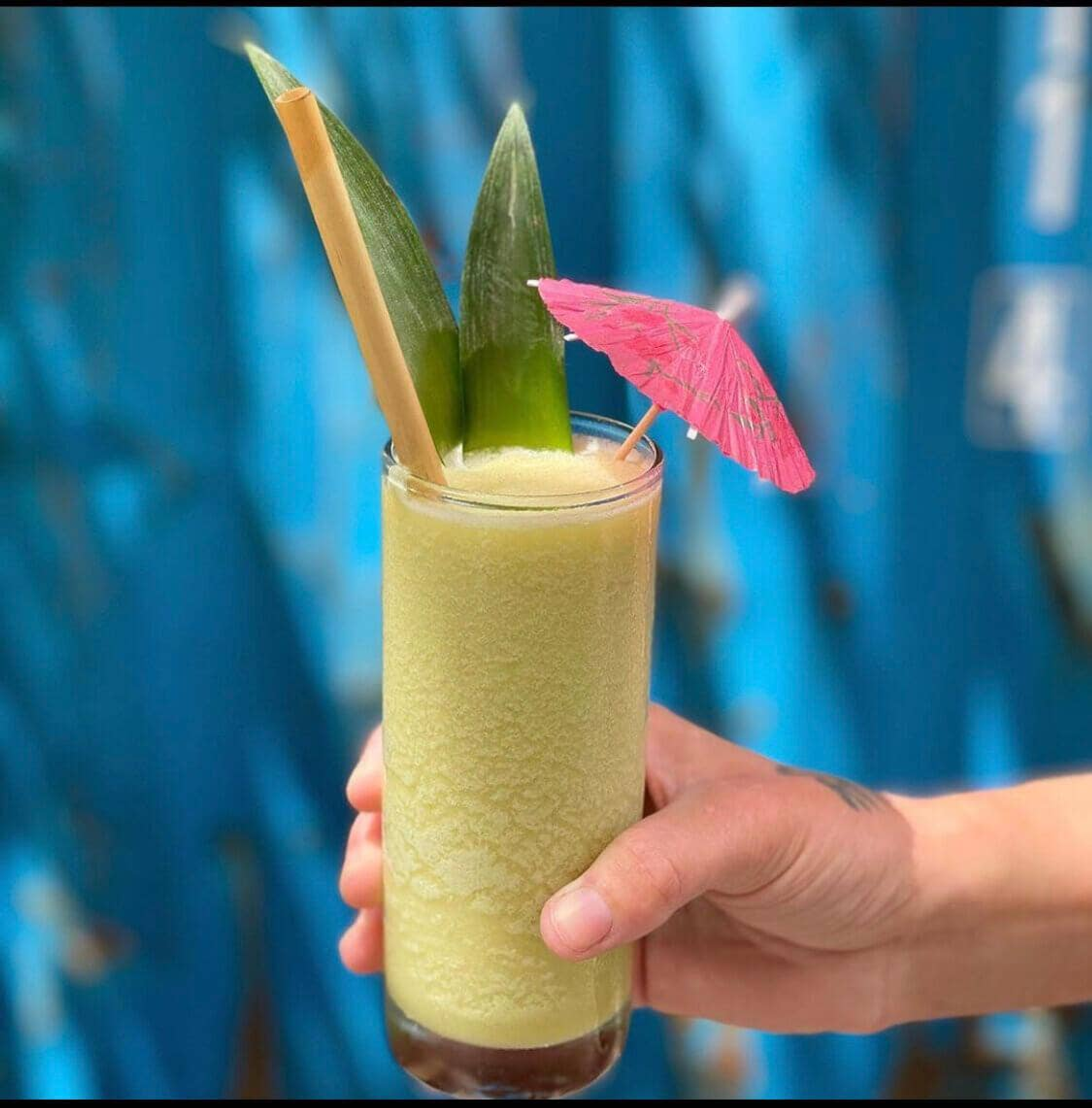 Tall Reed Drinking Straws