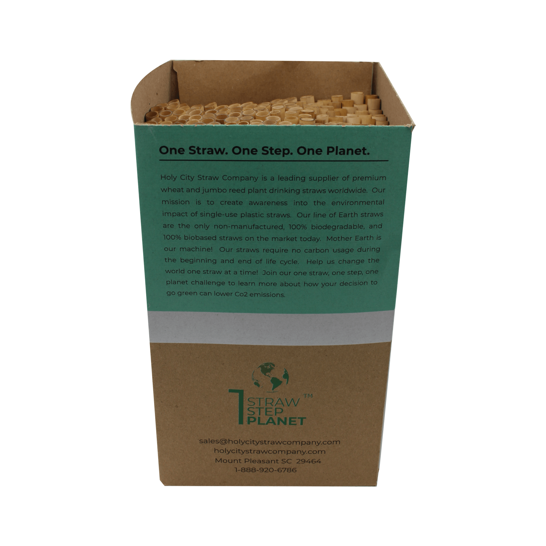 Tall Reed Drinking Straws