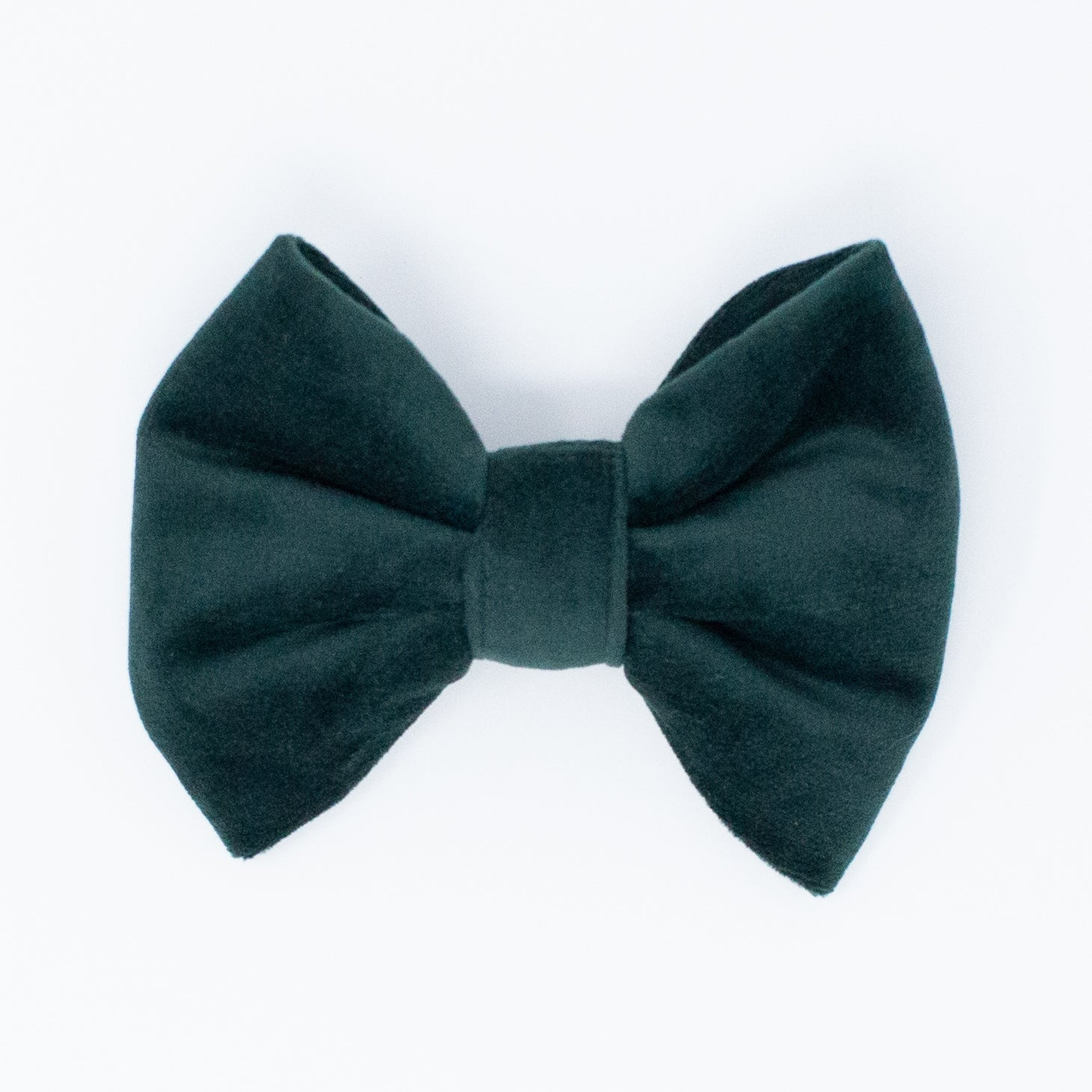 Limited Edition Velvet Evergreen Classic Dog Bow Tie Image 1