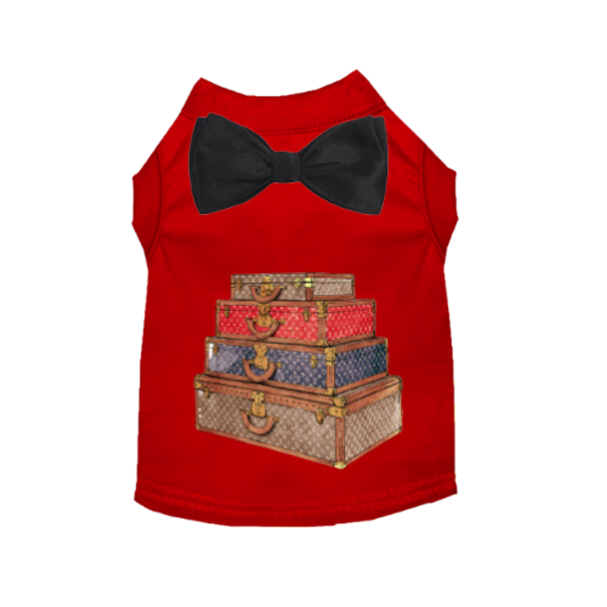 Dapper Jet Setter Image 1