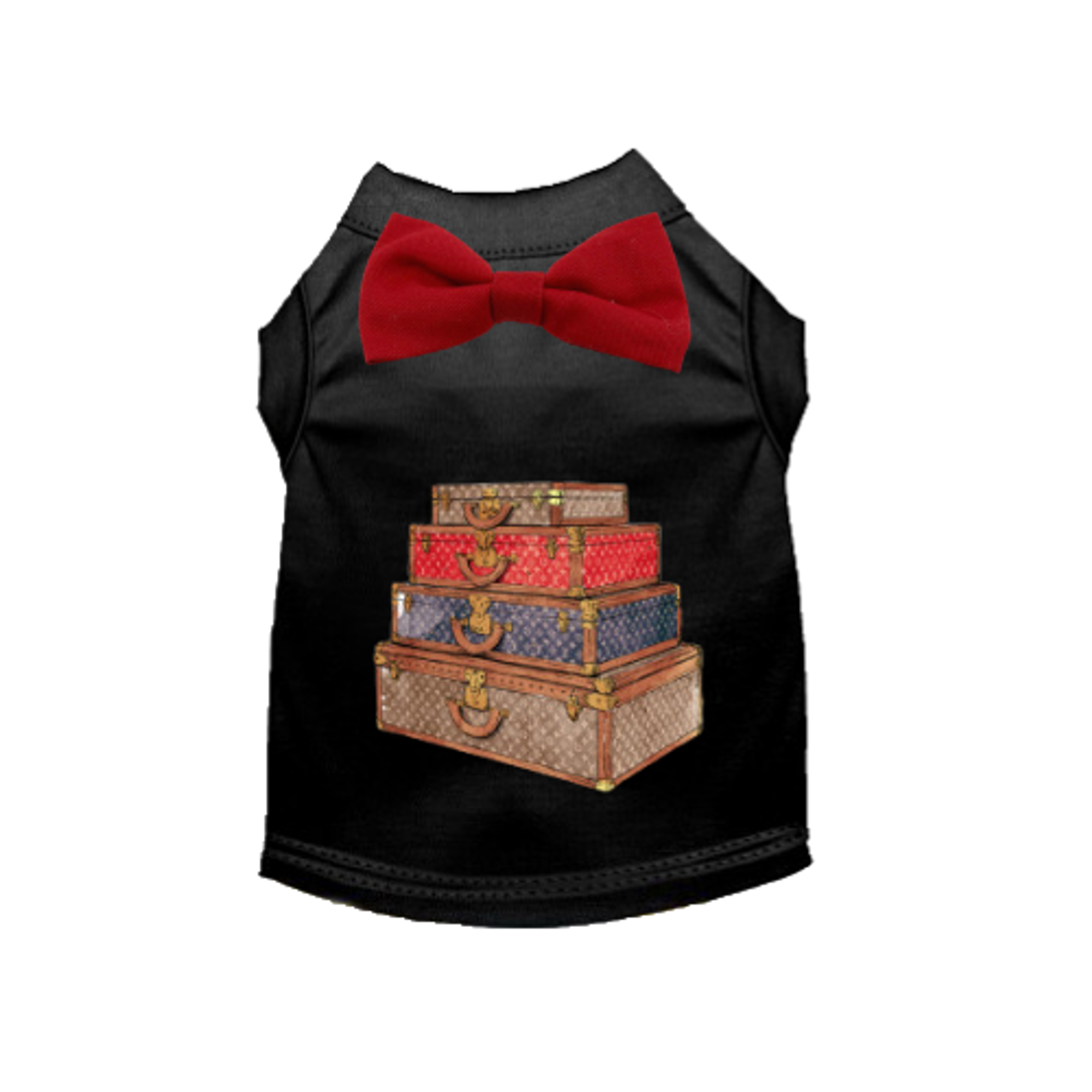 Dapper Jet Setter Image 1