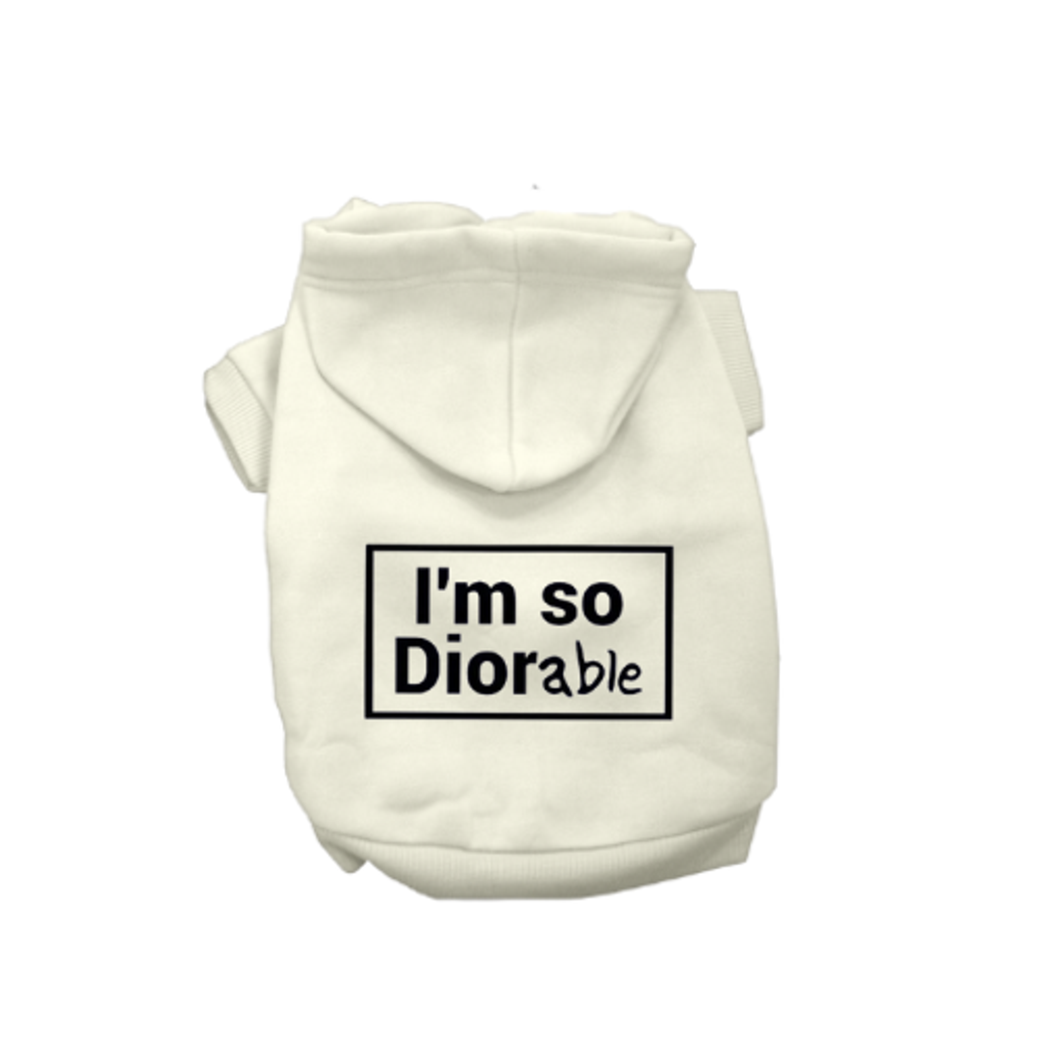 DIOR-able Hoodie Image 1