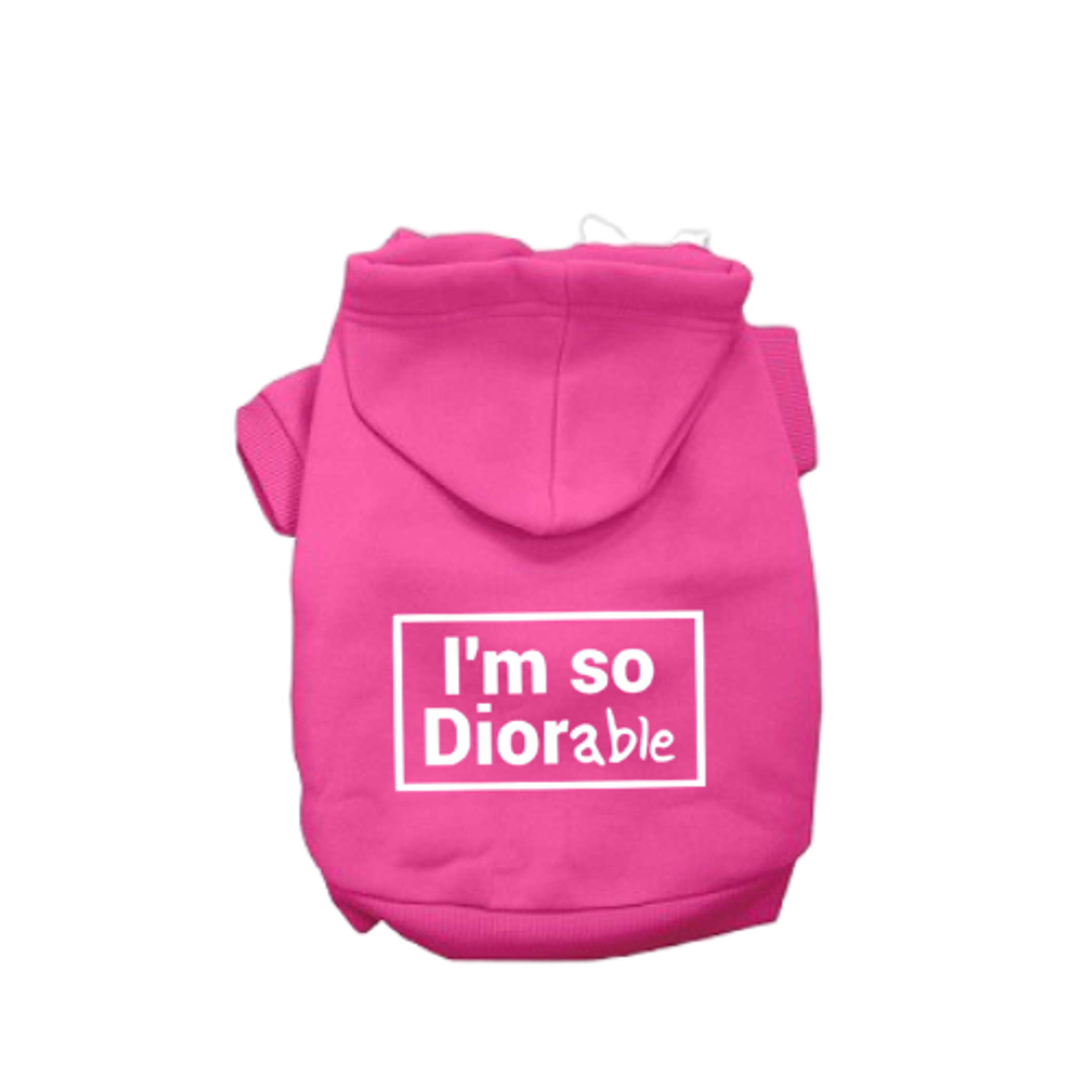 DIOR-able Hoodie Image 1