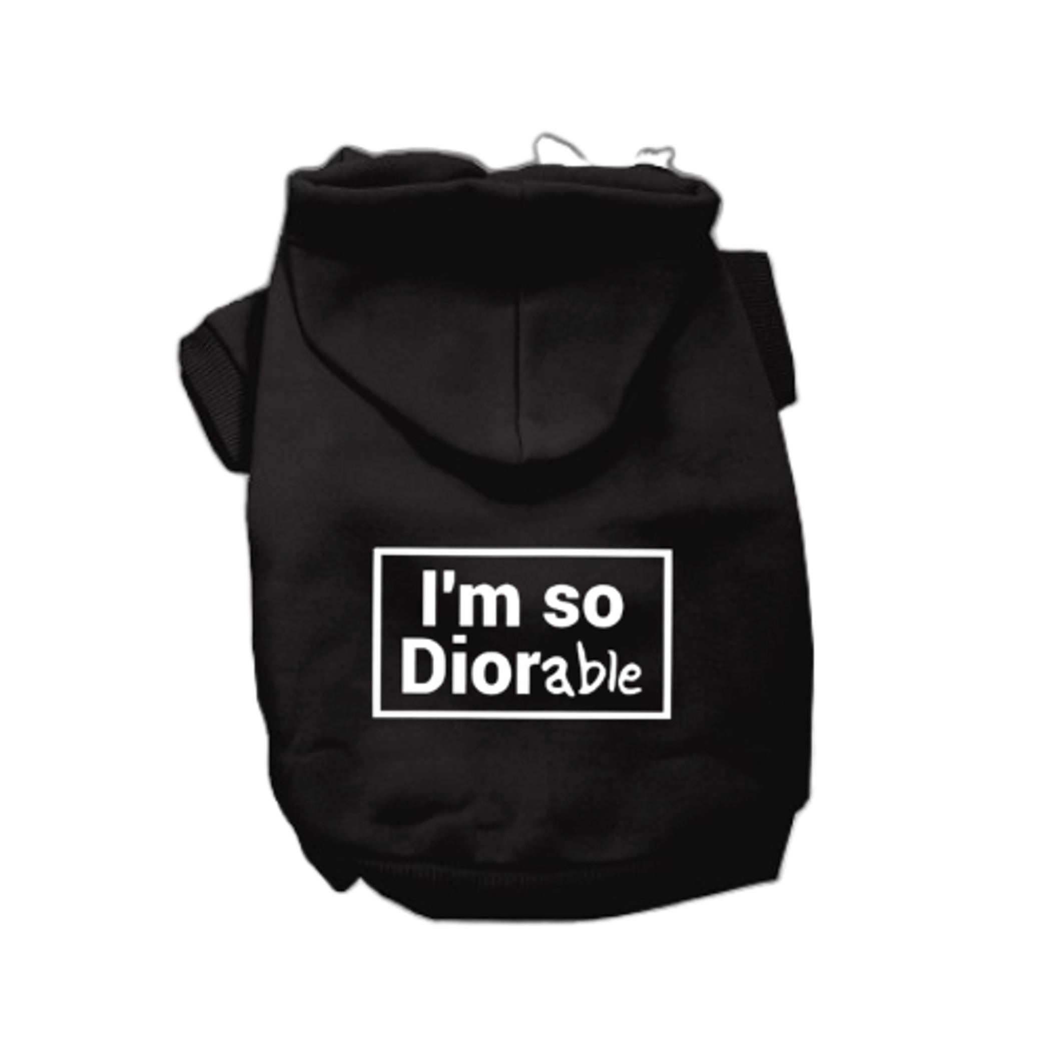DIOR-able Hoodie Image 1