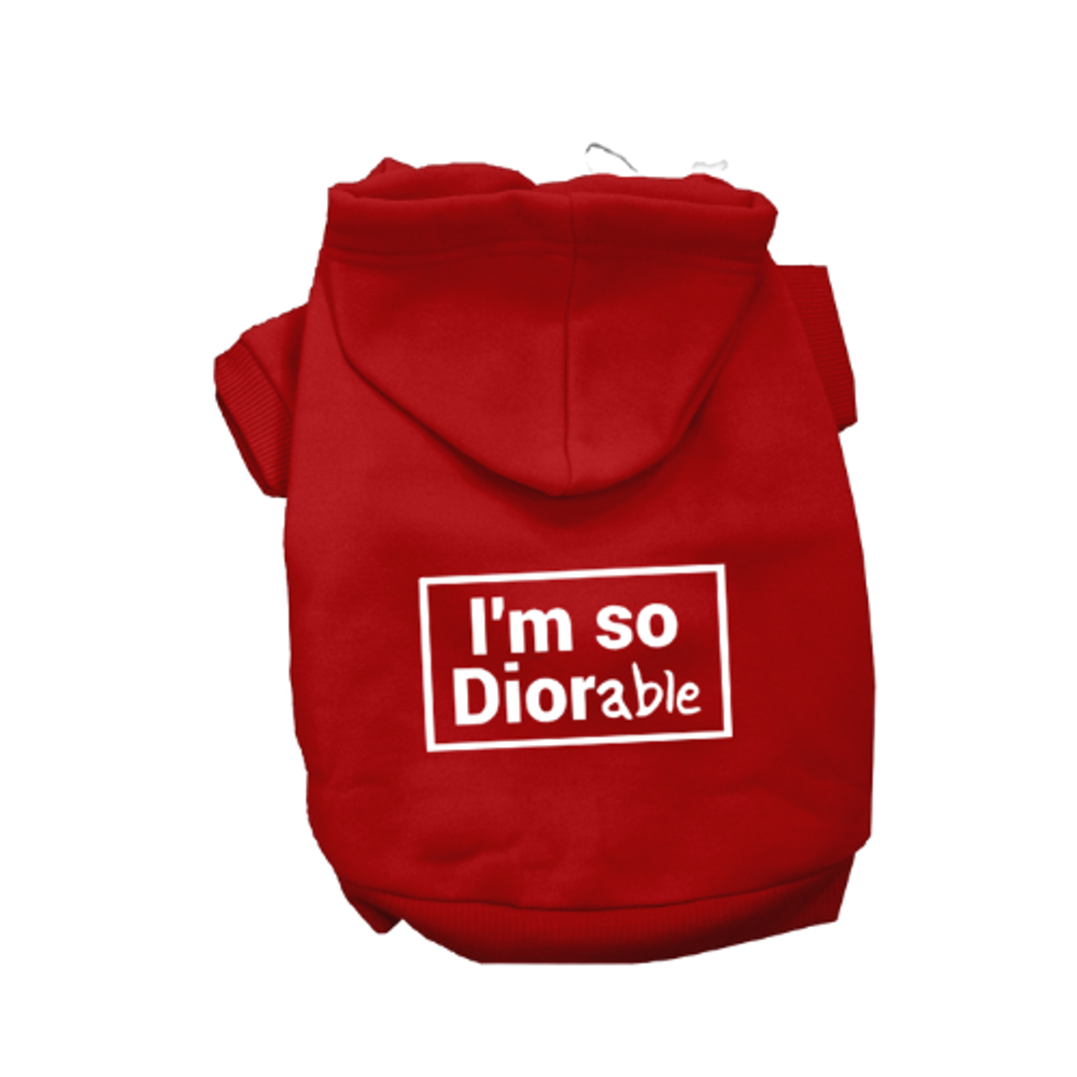 DIOR-able Hoodie Image 1