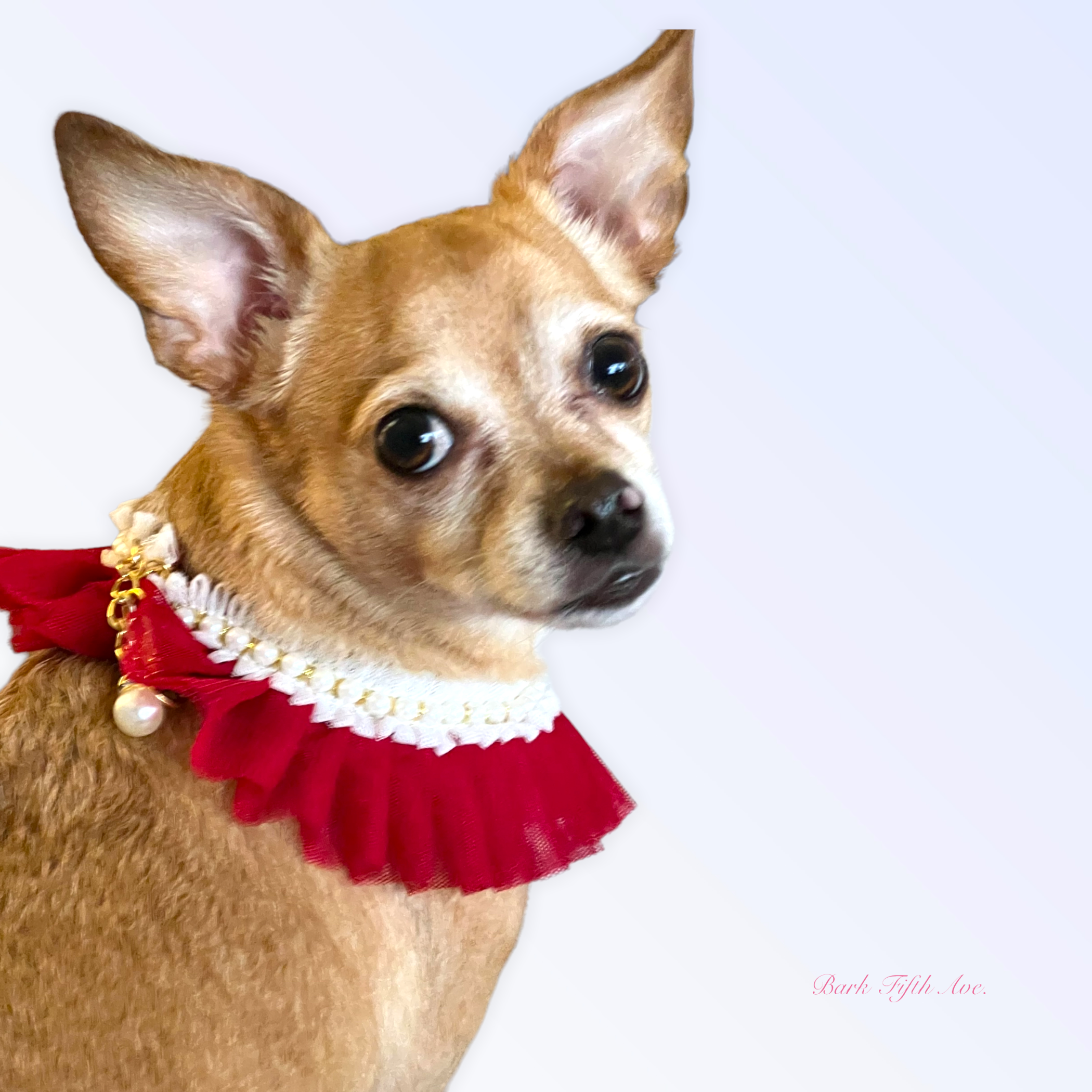 Pearl Neck Ruff Image 1