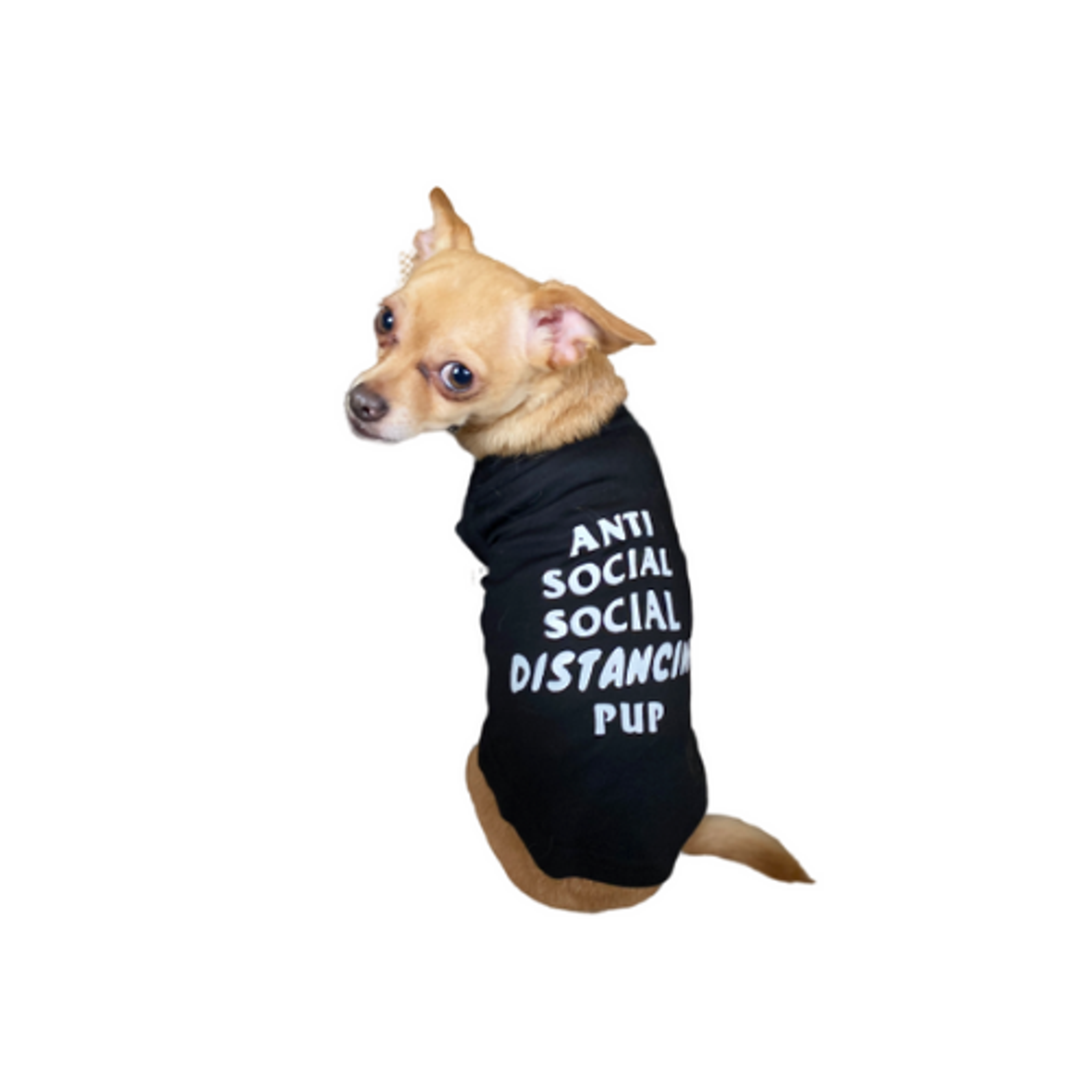 Anti Social Social Distancing Pup Image 1