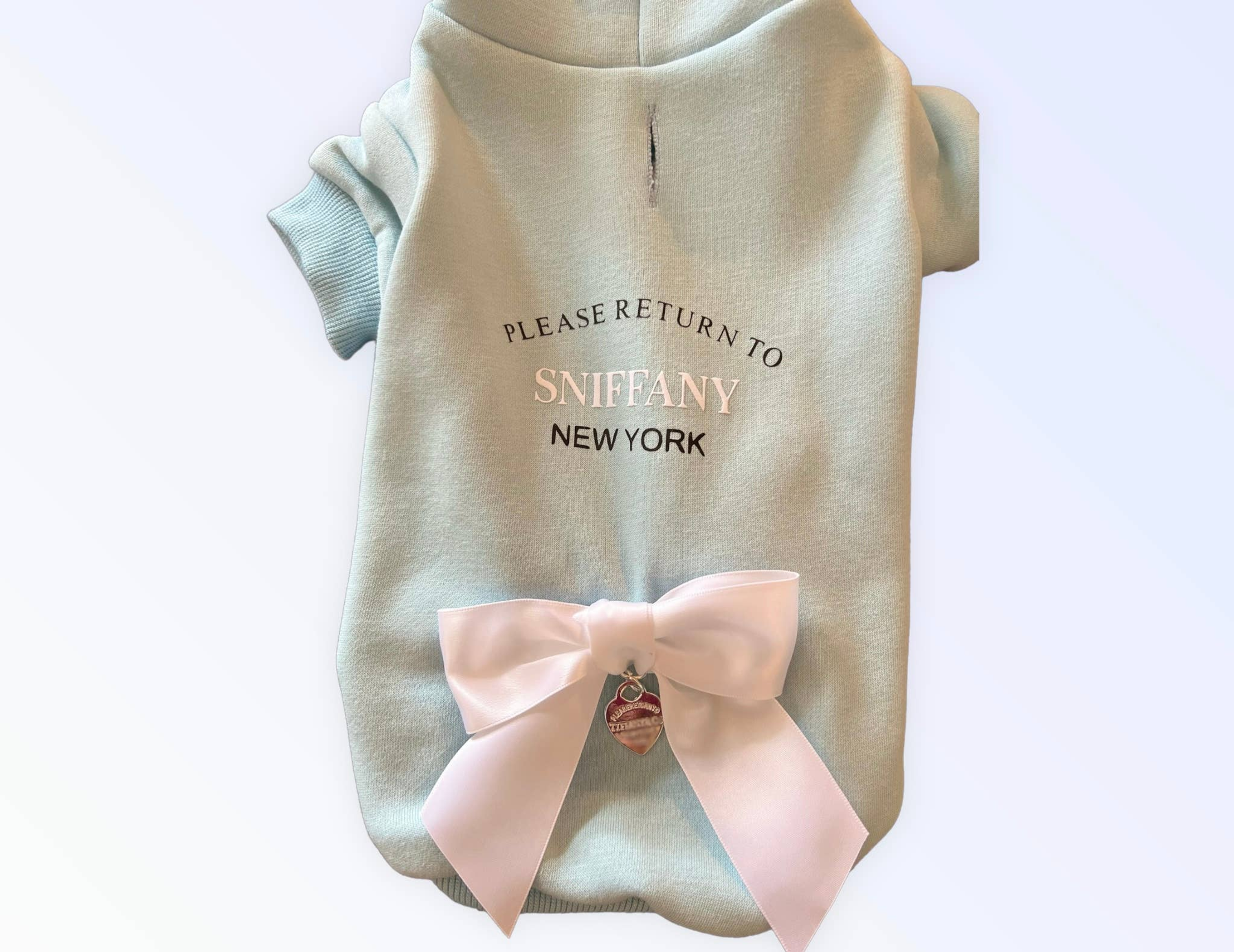 Return to Sniffany Hoodie Image 1