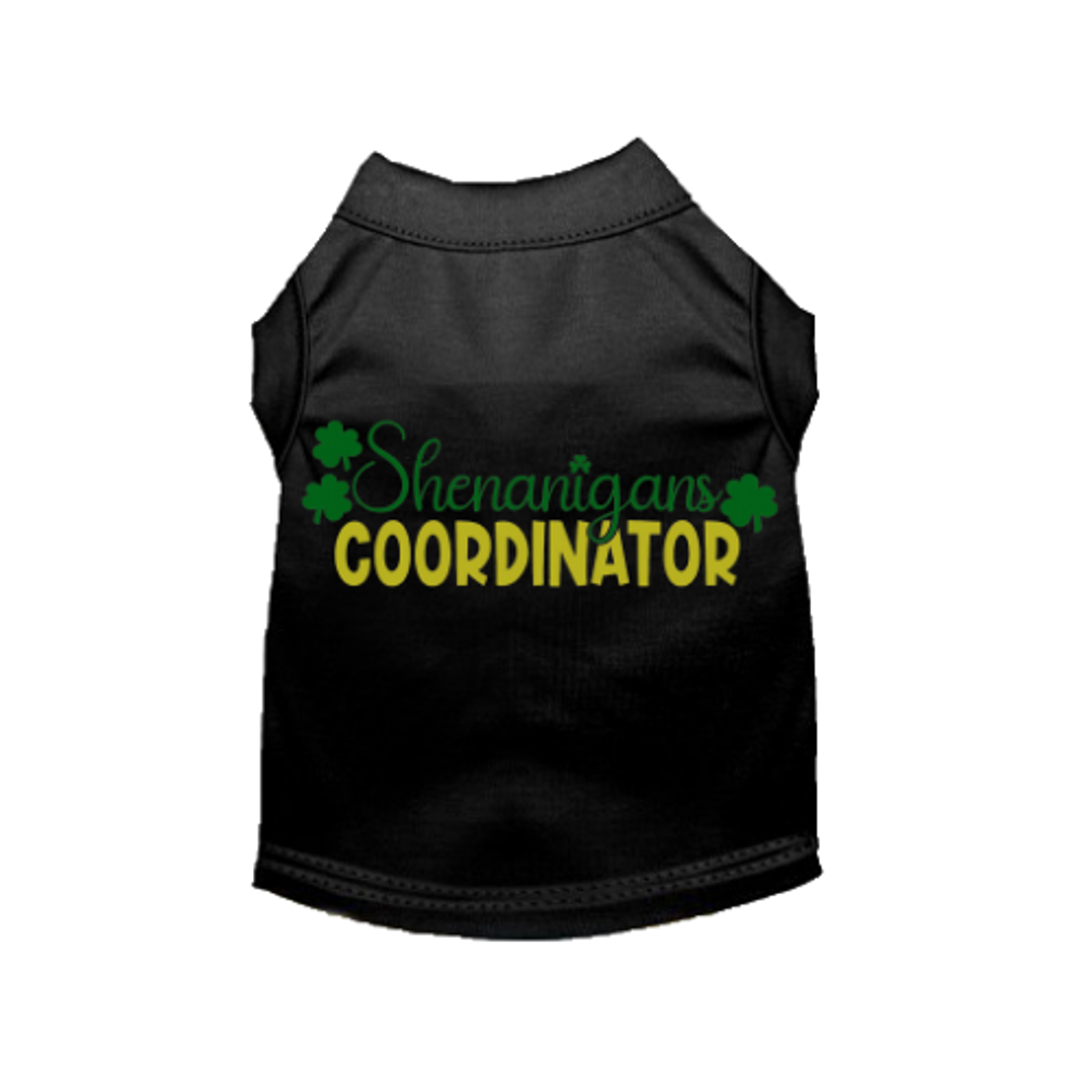 Shenanigans Coordinator Image 1