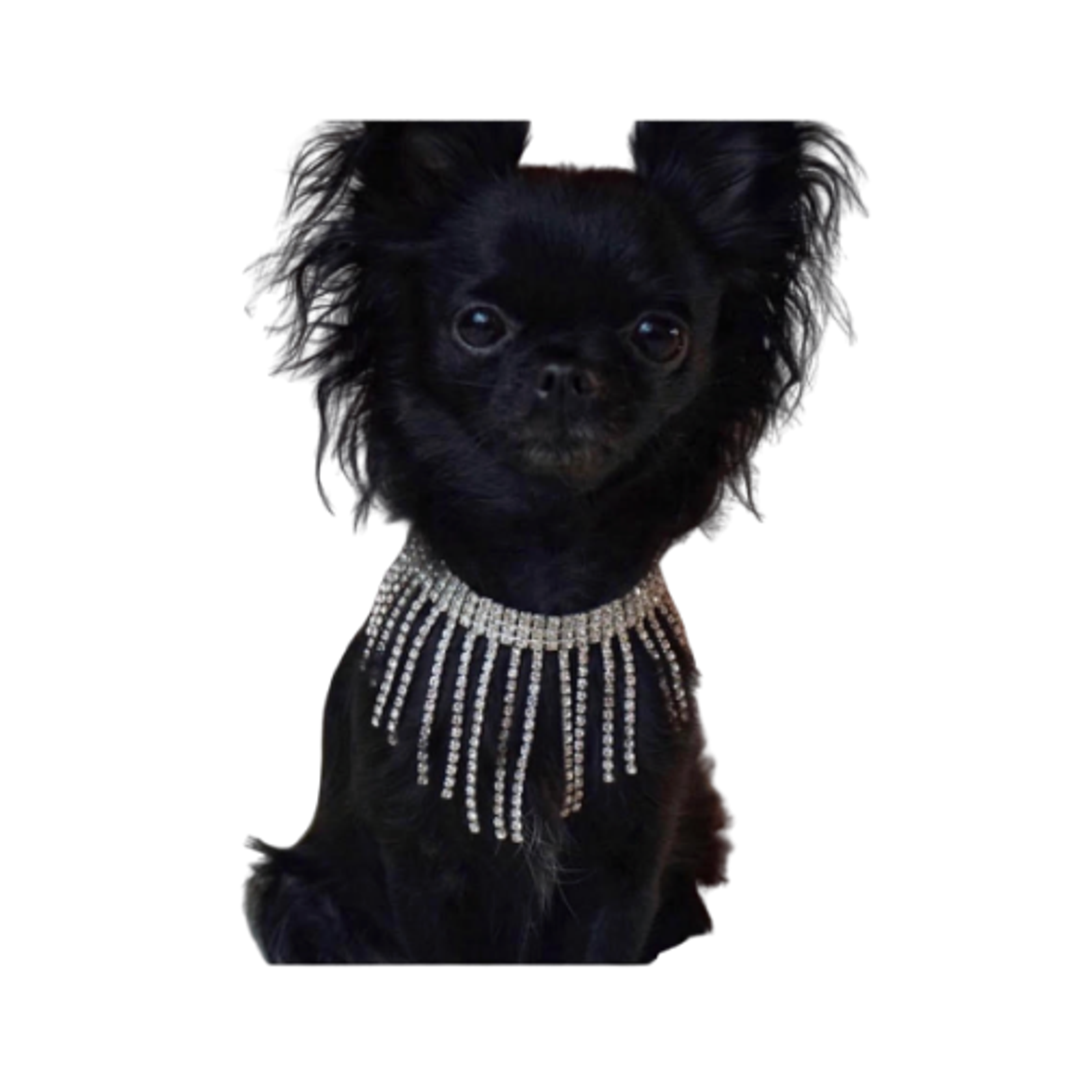 Sparkle Dior Necklace Image 1