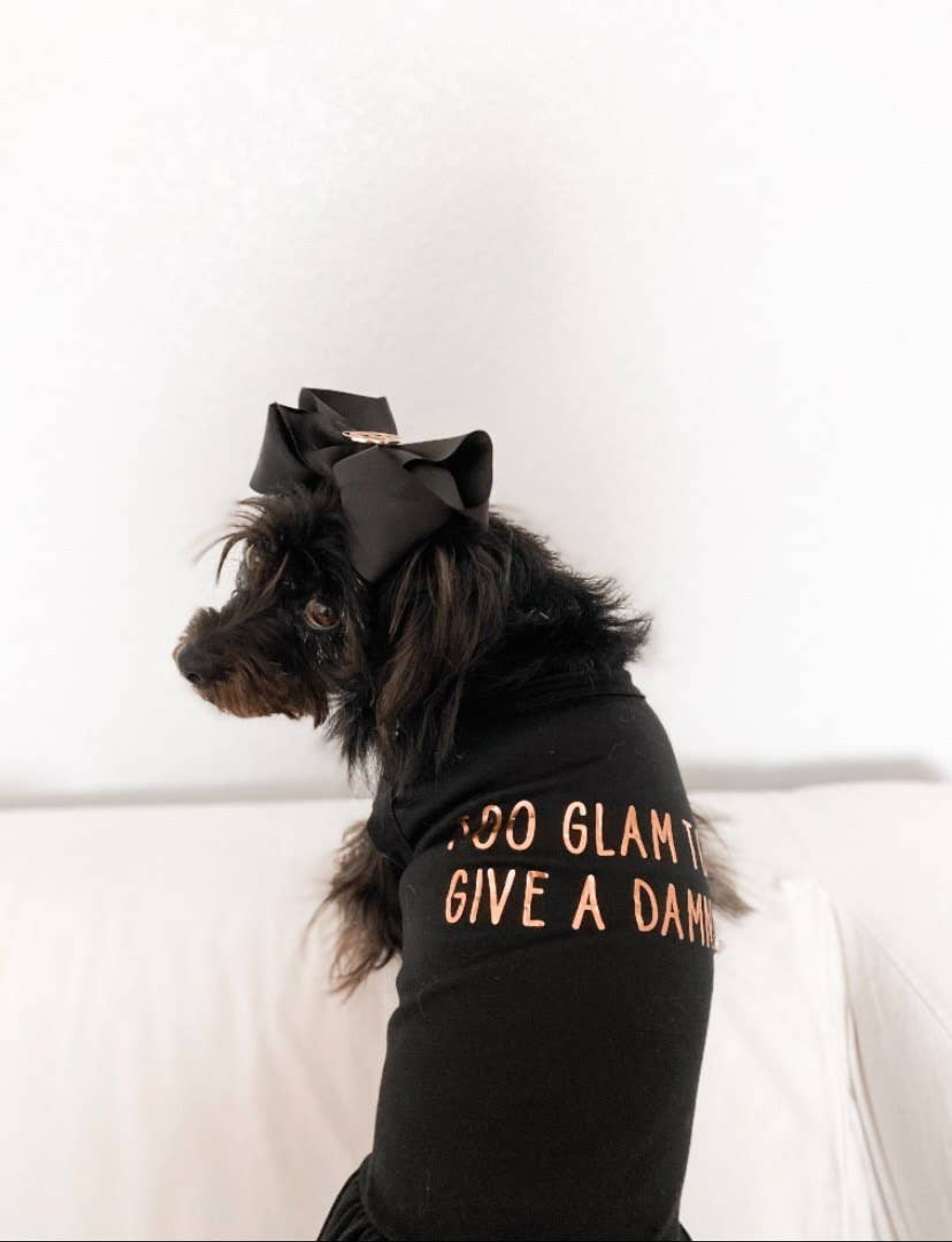 Too Glam to Give a Damn Image 1