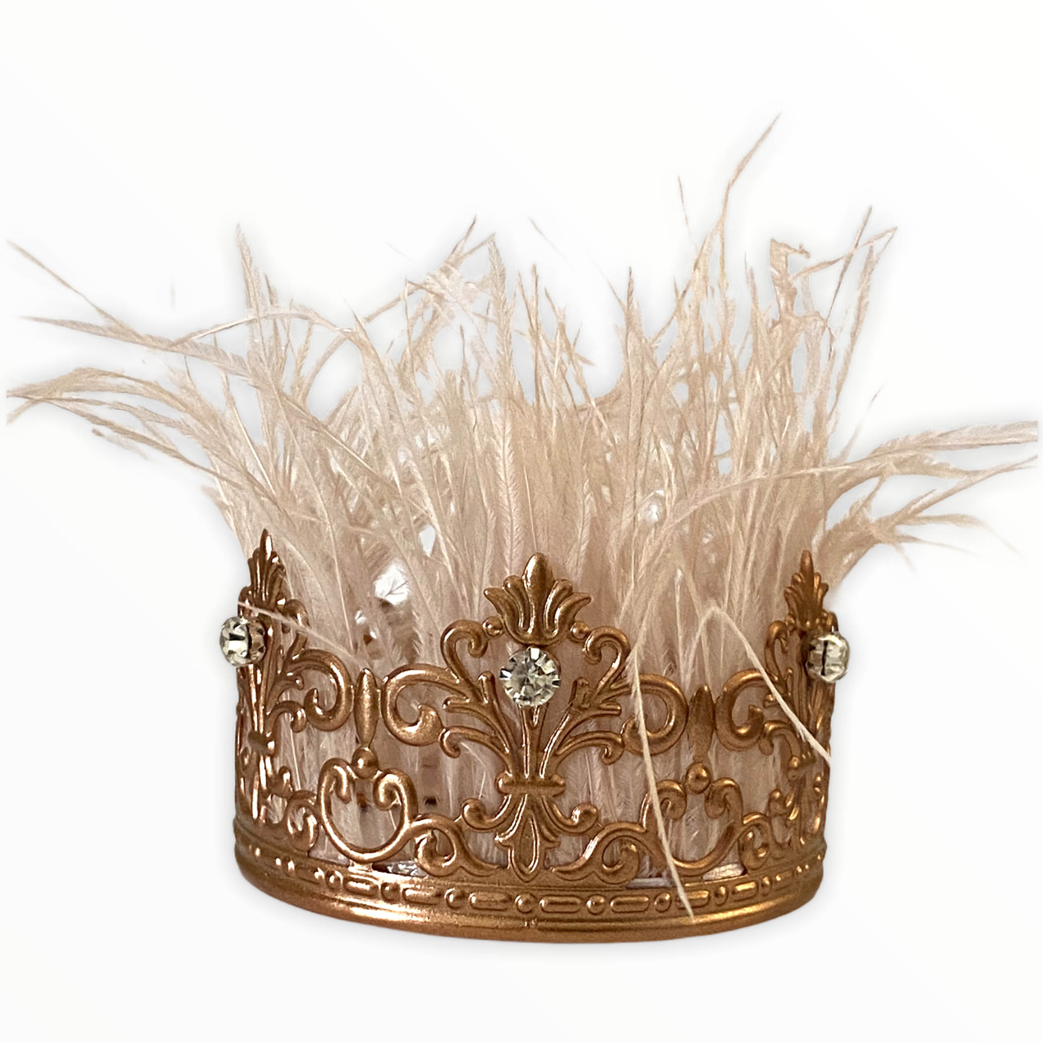 Zsa Zsa Glamour Girl Crown Image 1