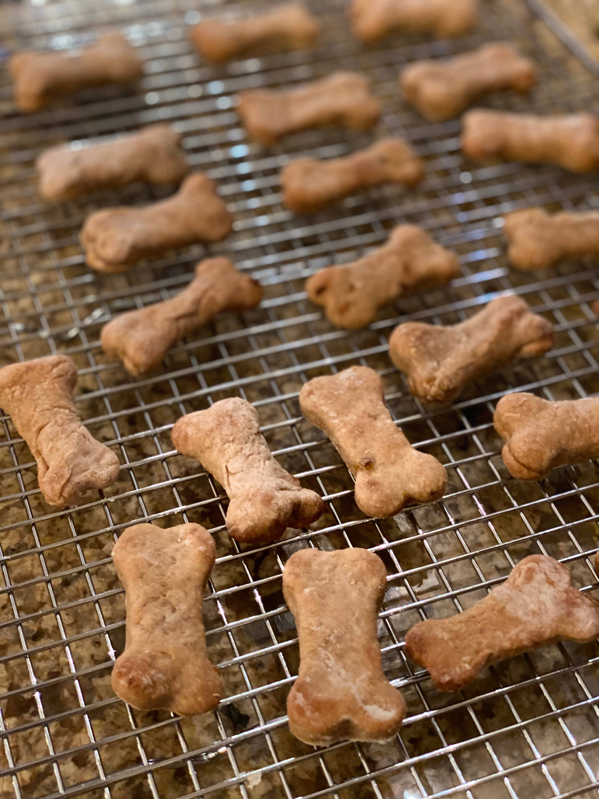 Dog Treats Peanut Butter Flavor 6 oz Resealable Pouch Wheat Corn Soy Gluten Free 30 Treats