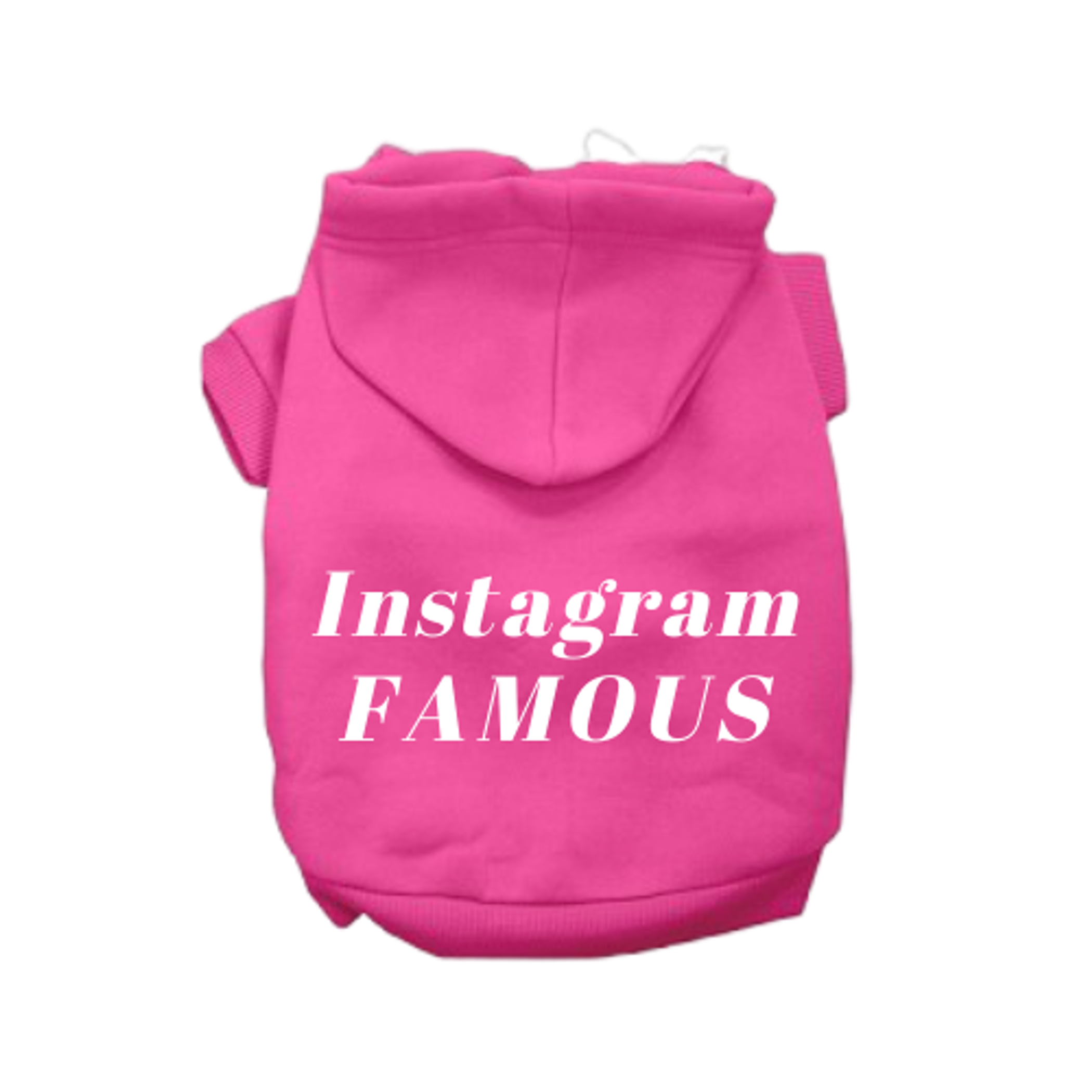 IG Famous Hoodie Image 1