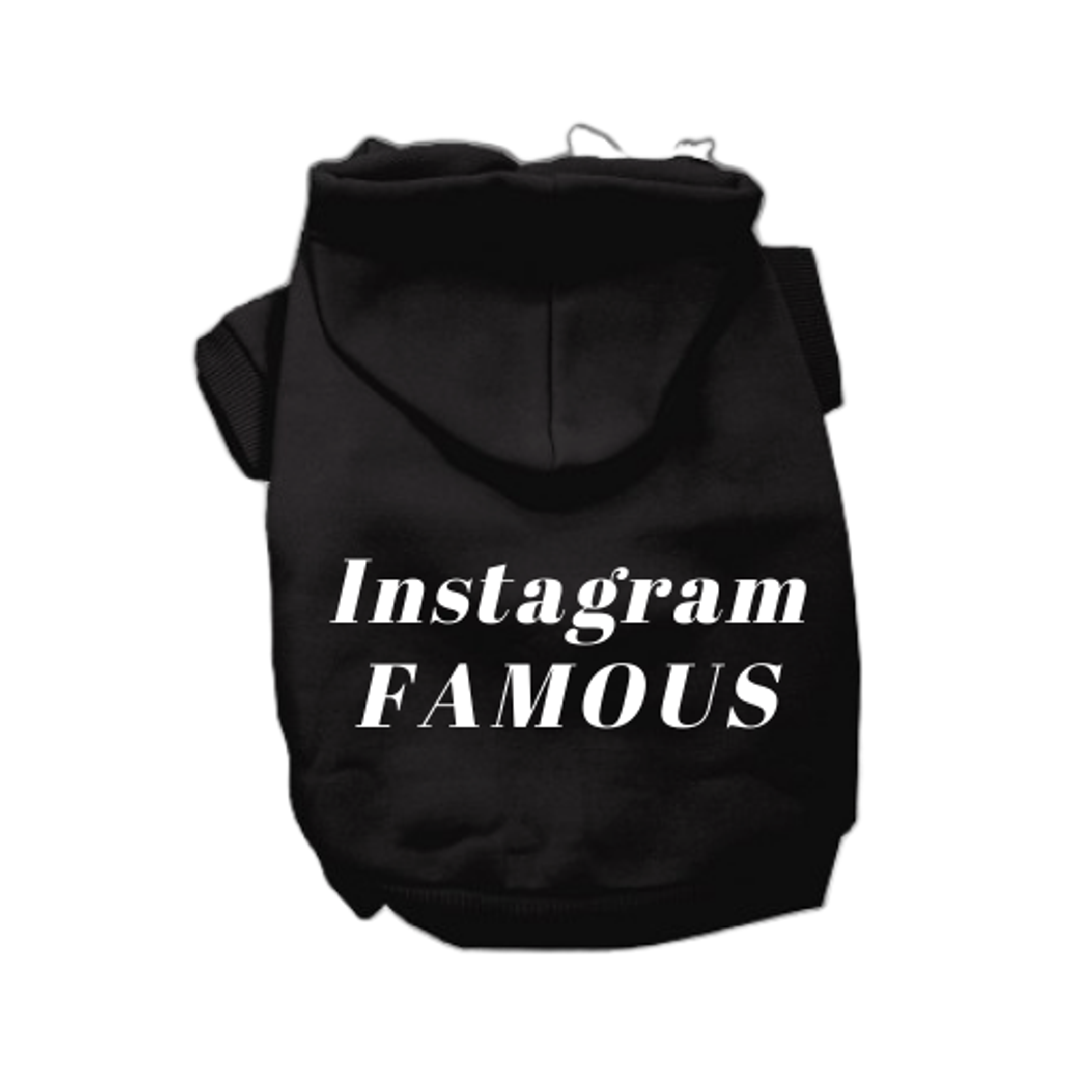 IG Famous Hoodie Image 1
