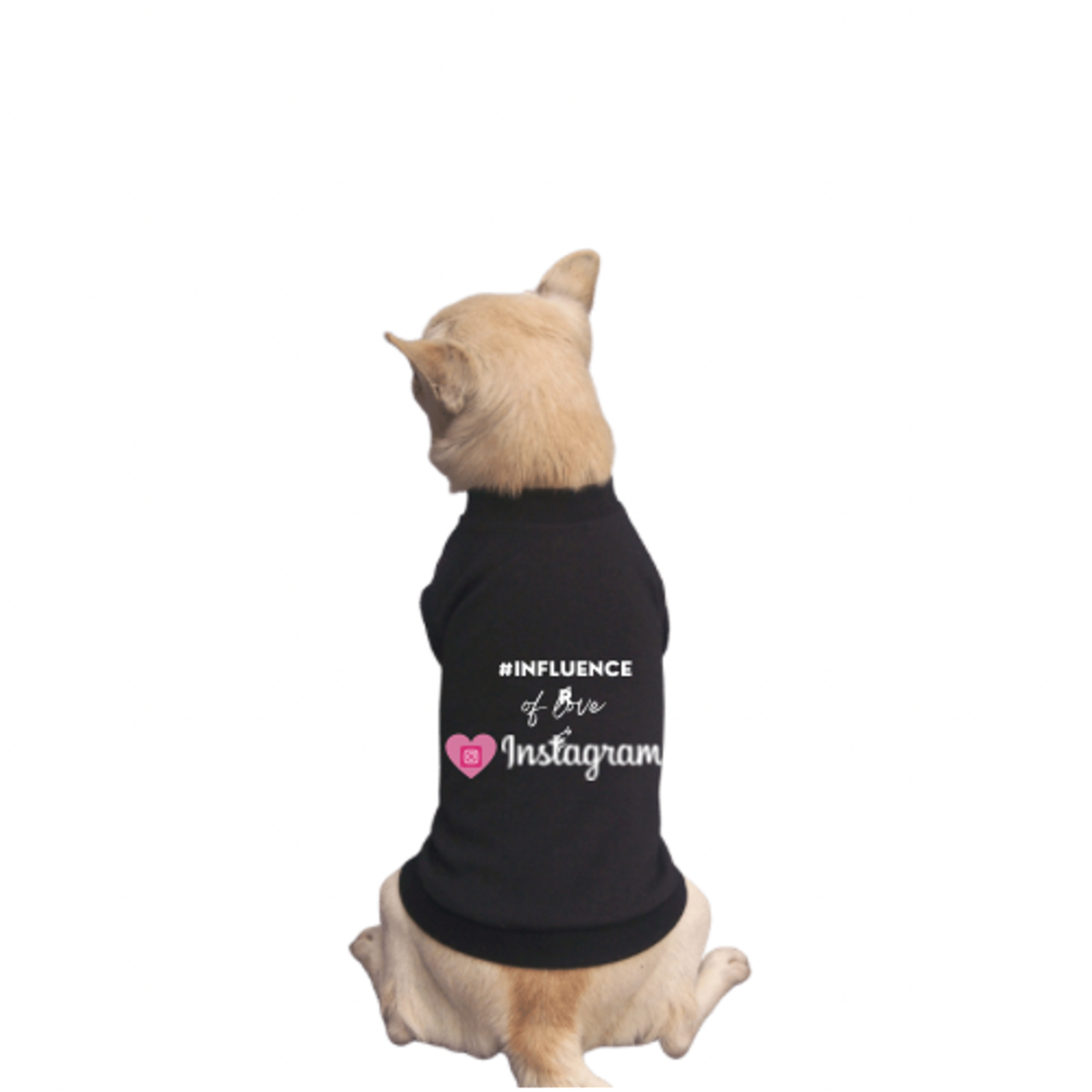 #INFLUENCER of Love & Instagram Image 1