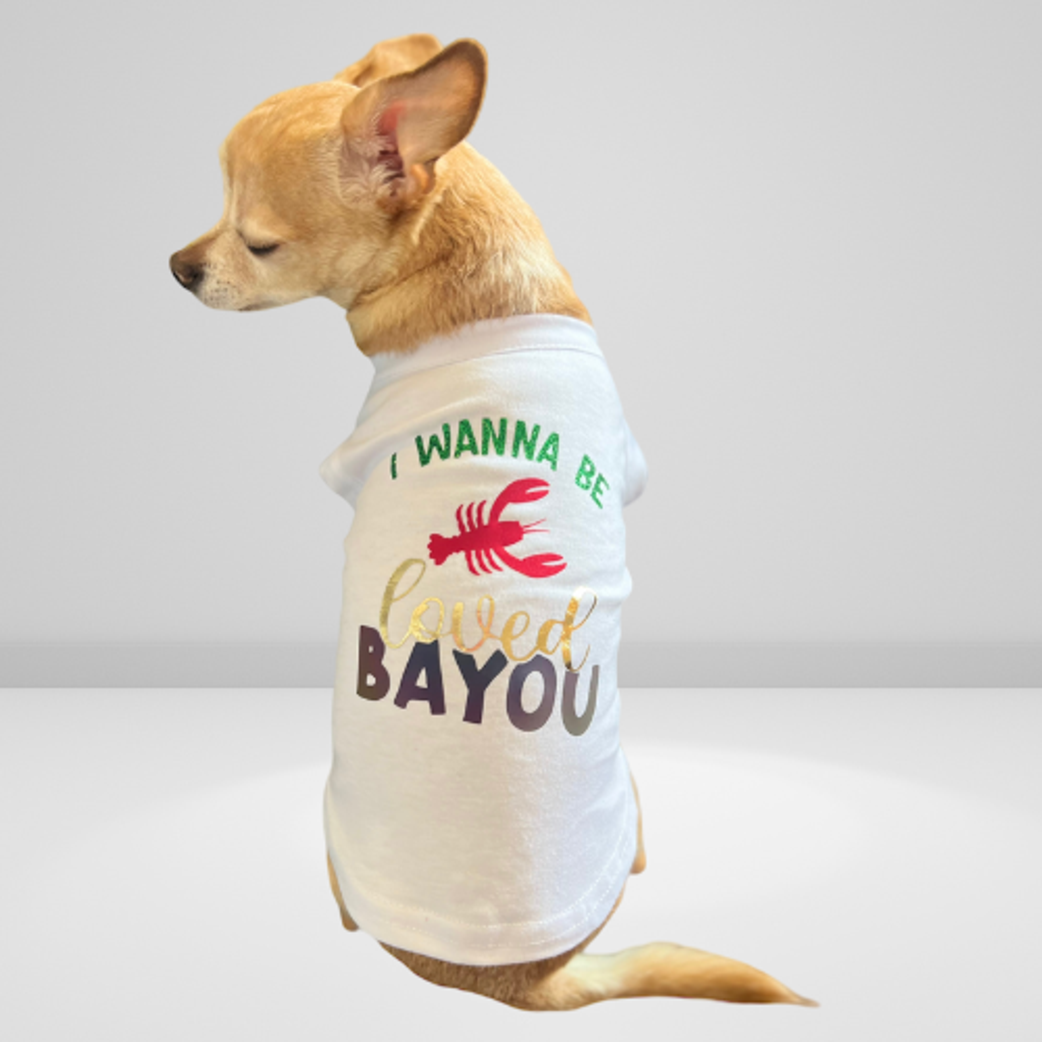 Just Want to Be Loved BAYOU- Dog Shirt Image 1