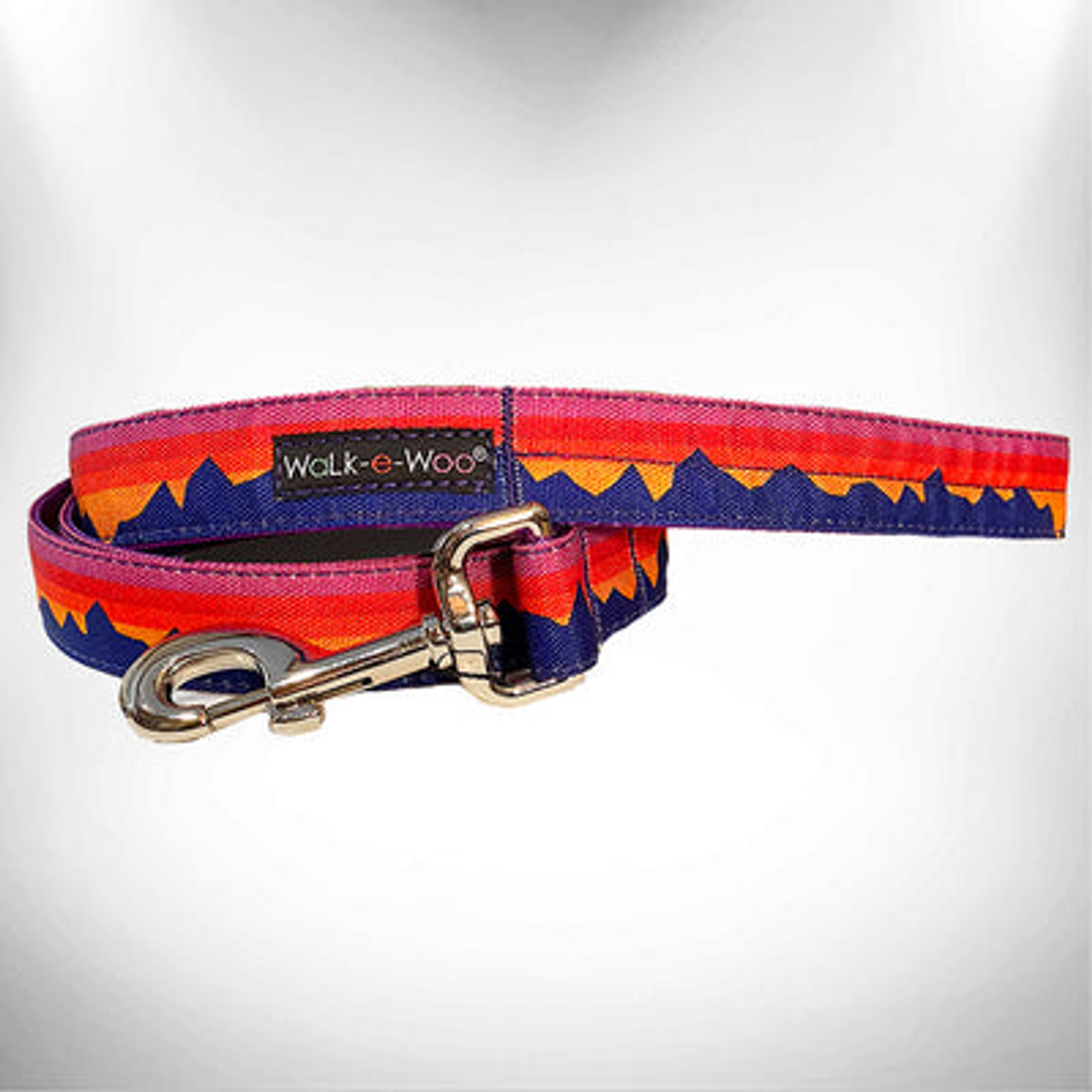 Mountain Dog Leads Image 1