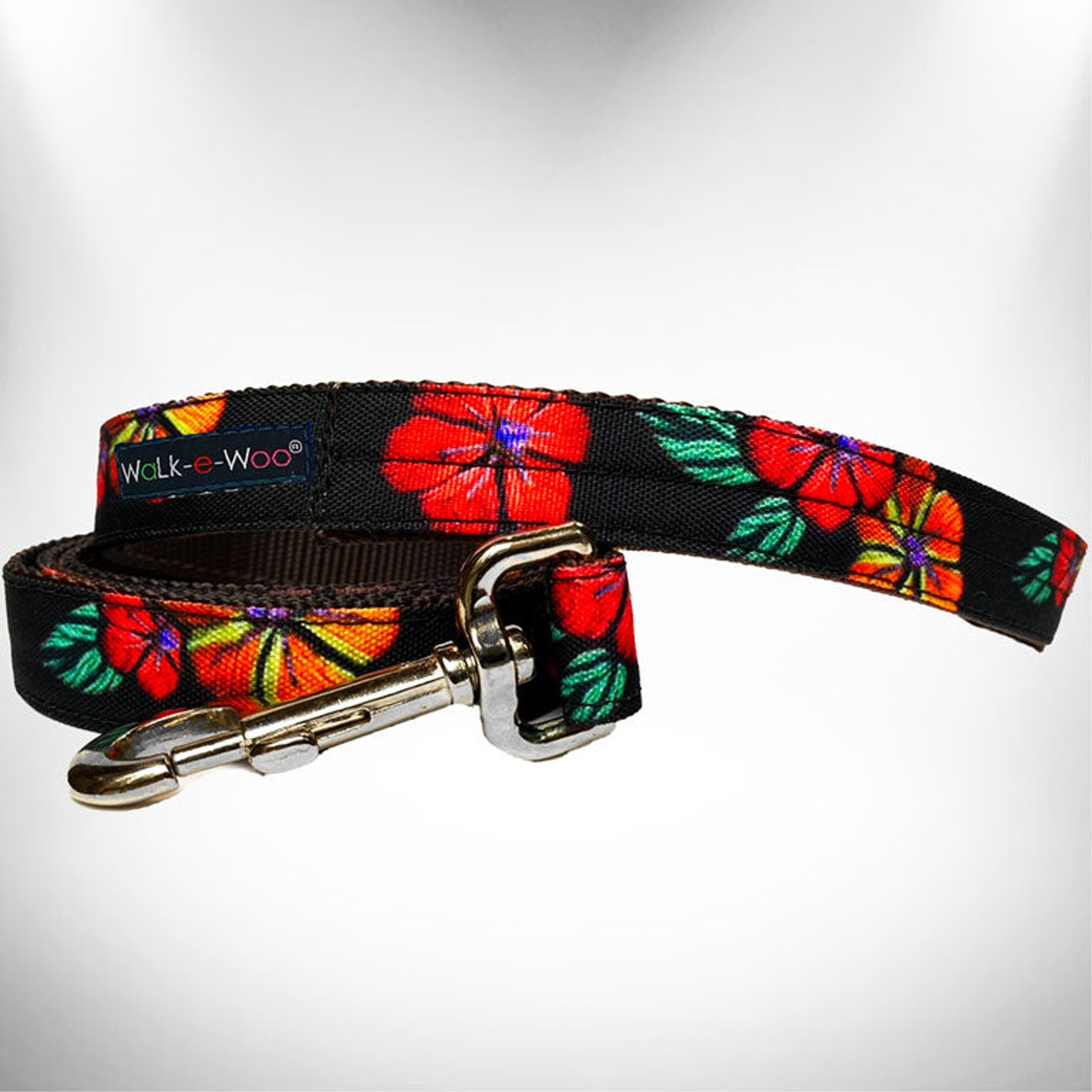 Dog Leash Image 1