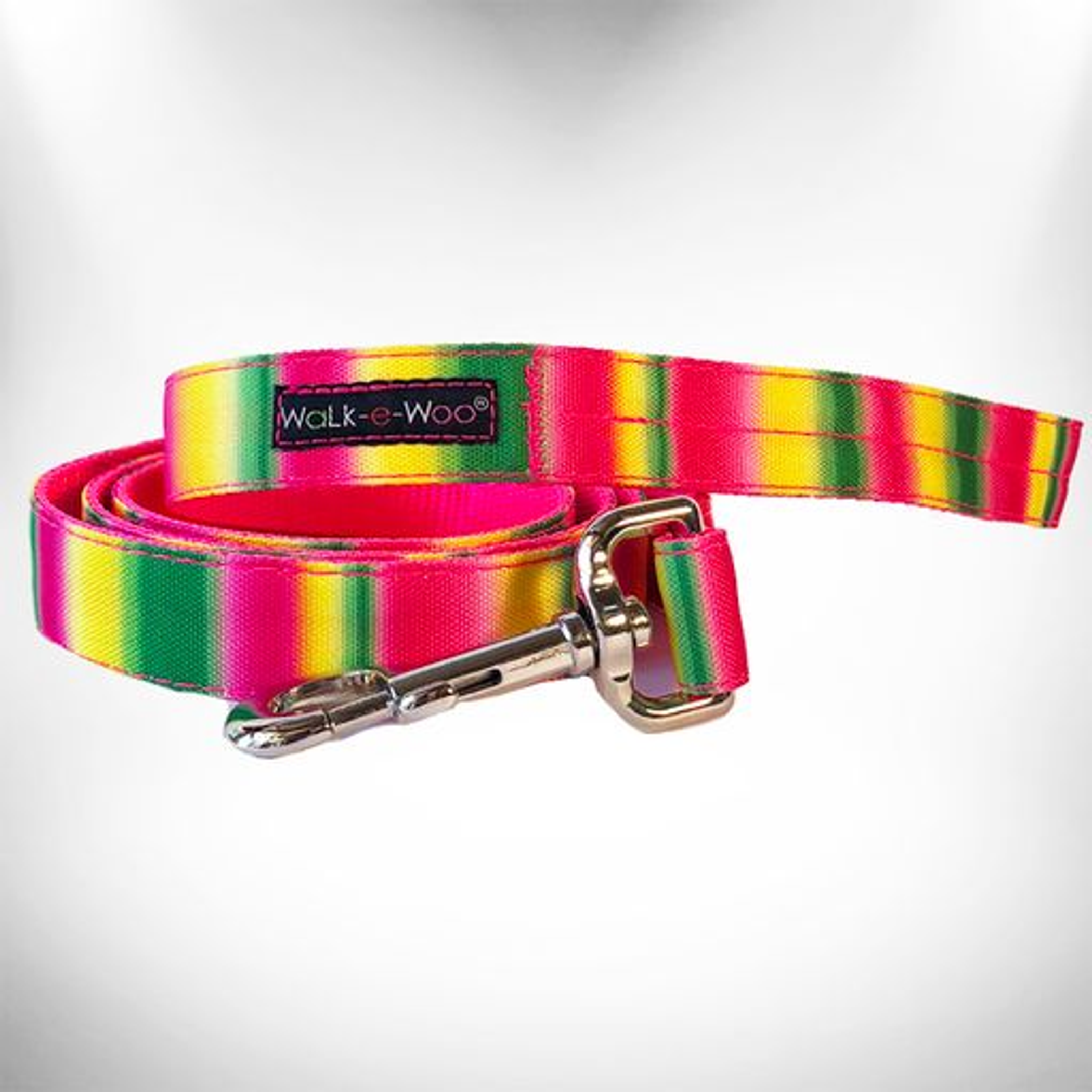 Tie Dye Dog Leads Image 1