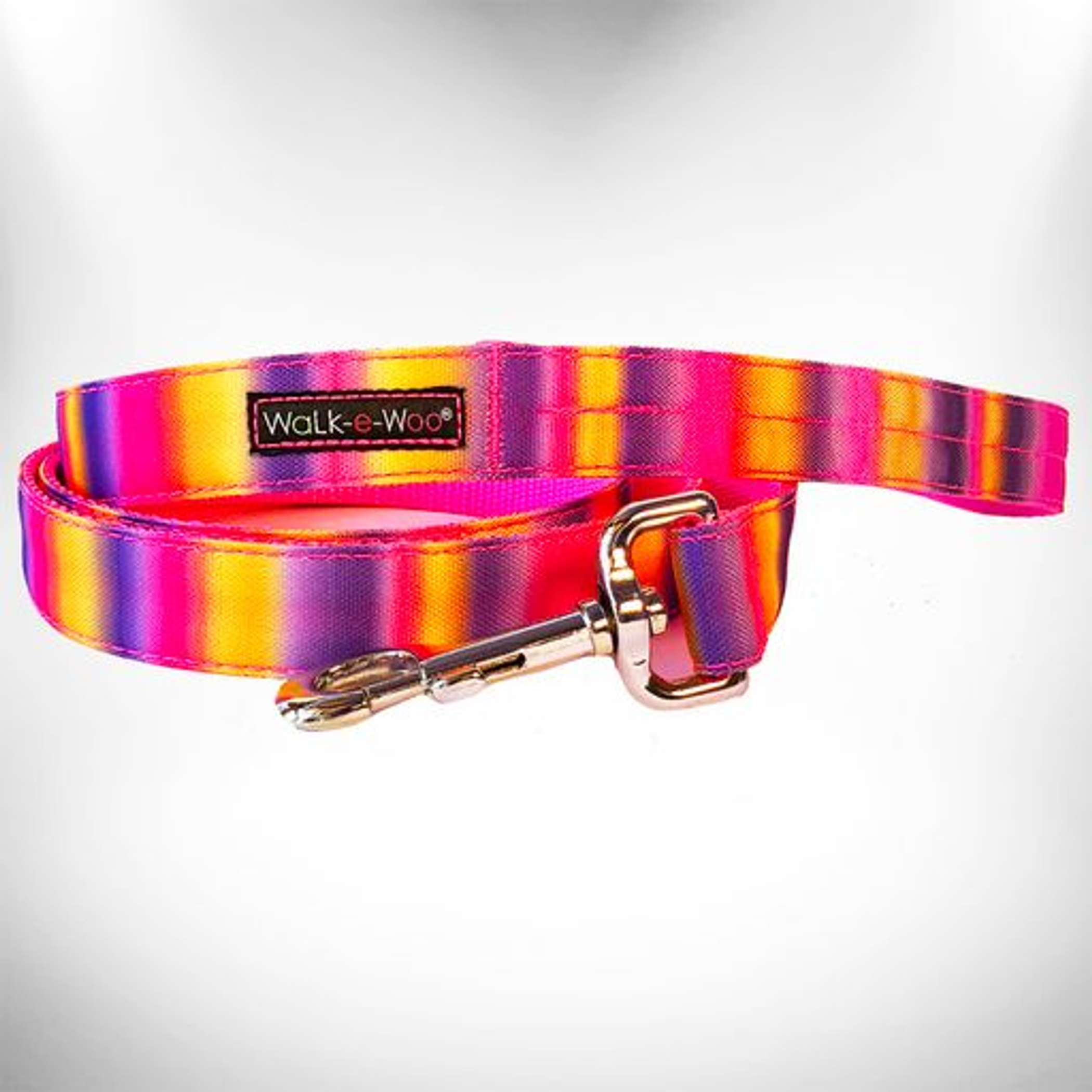 Tie Dye Dog Leads Image 1