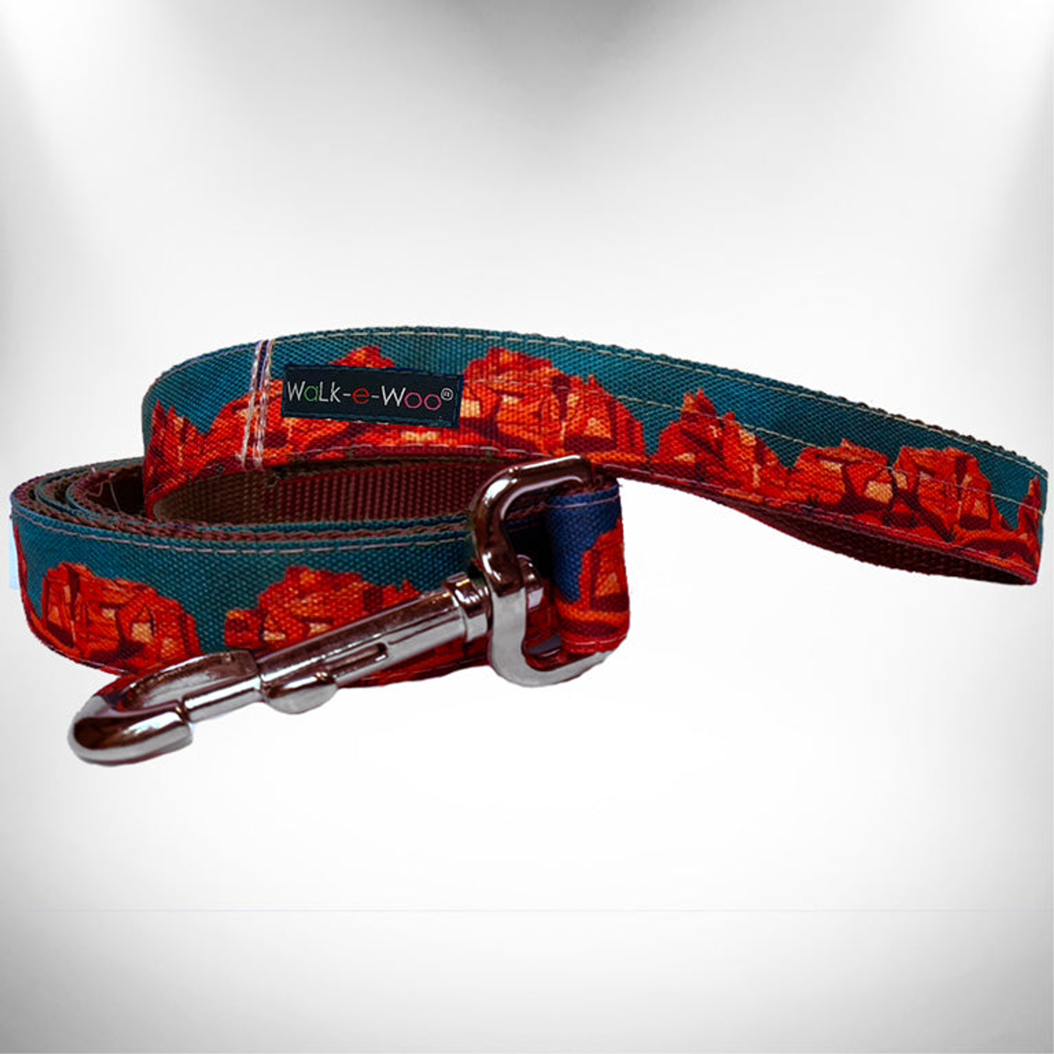 Dog Leash Image 1
