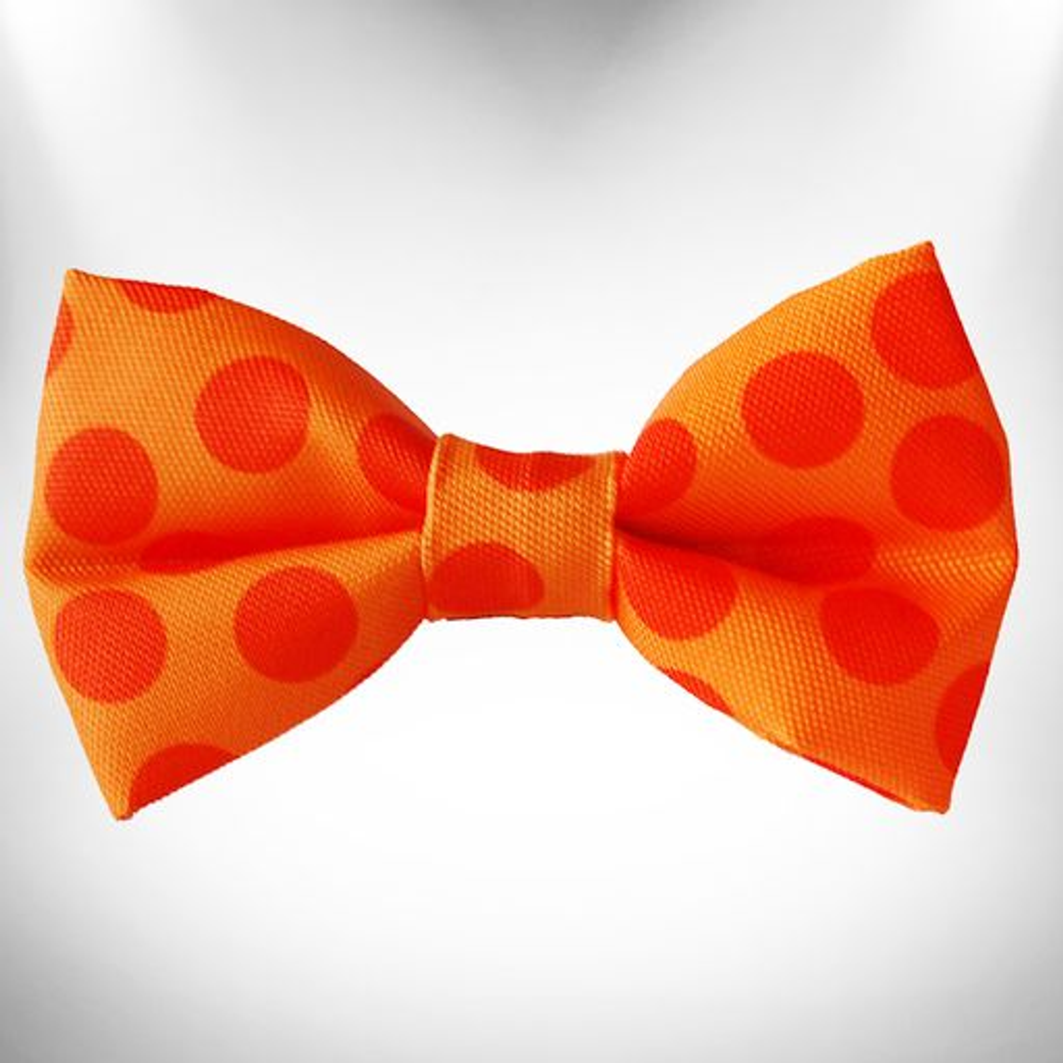 Polka Dot Dog - Monotone Collars Orange