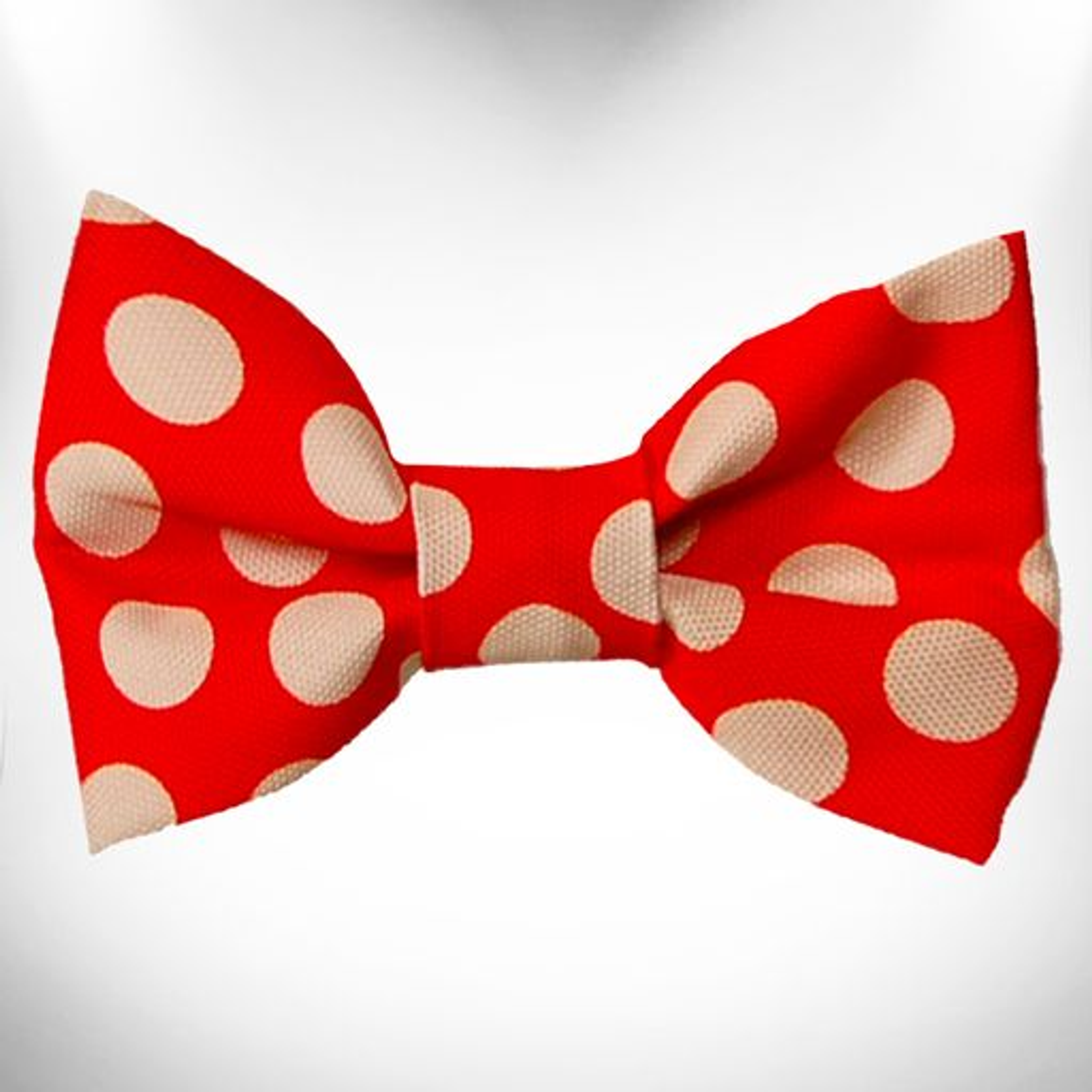 Polka Dot Dog Bow Tie Image 1