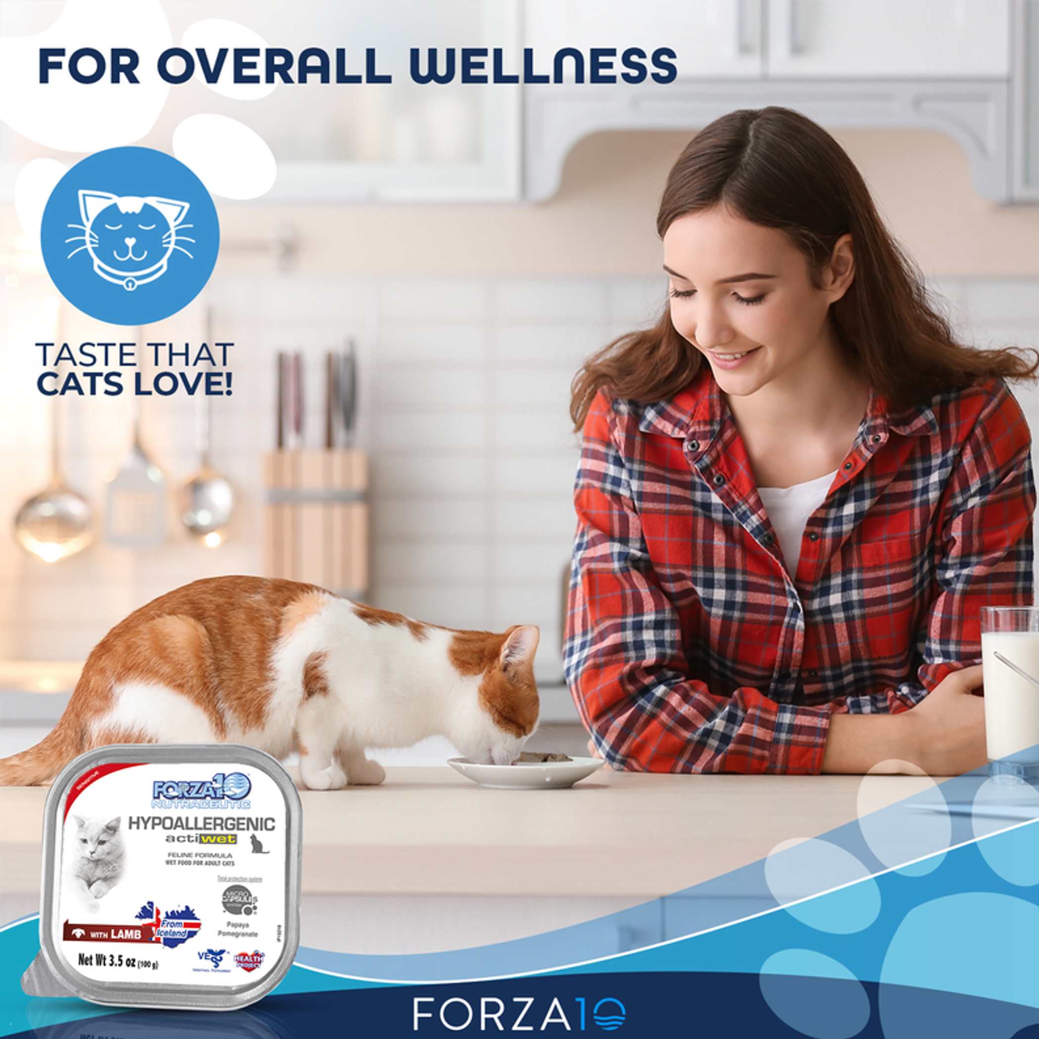 Canned Cat Food Complete Balanced Recipe Made with Icelandic Salmon and Lamb Hypoallergenic 100% Natural Ingredients 100 Grams