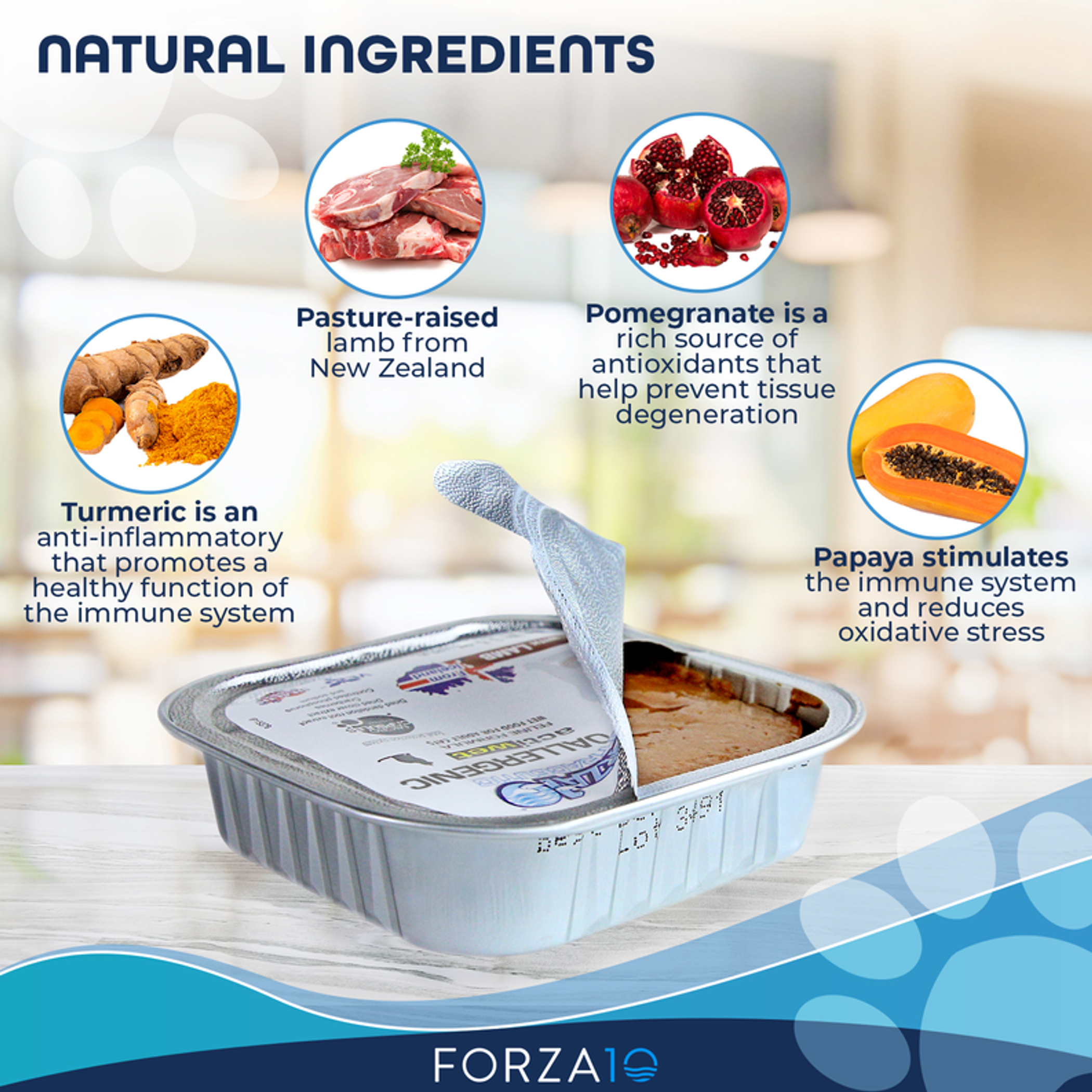 Canned Cat Food Complete Balanced Recipe Made with Icelandic Salmon and Lamb Hypoallergenic 100% Natural Ingredients 100 Grams
