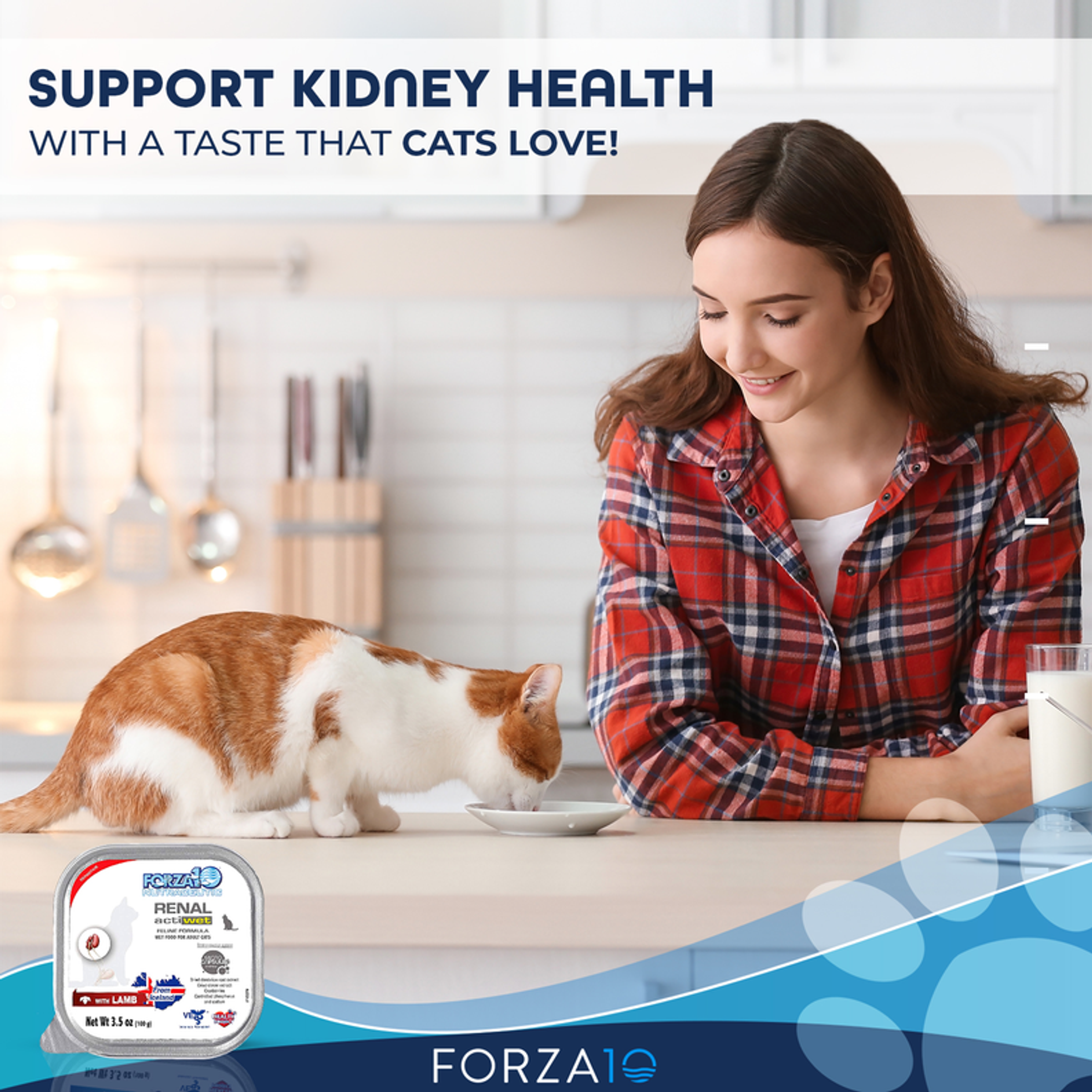 Canned Cat Food Renal Support 100 Percent Icelandic Salmon Lamb Mixed Therapeutic Plants 70 Grams