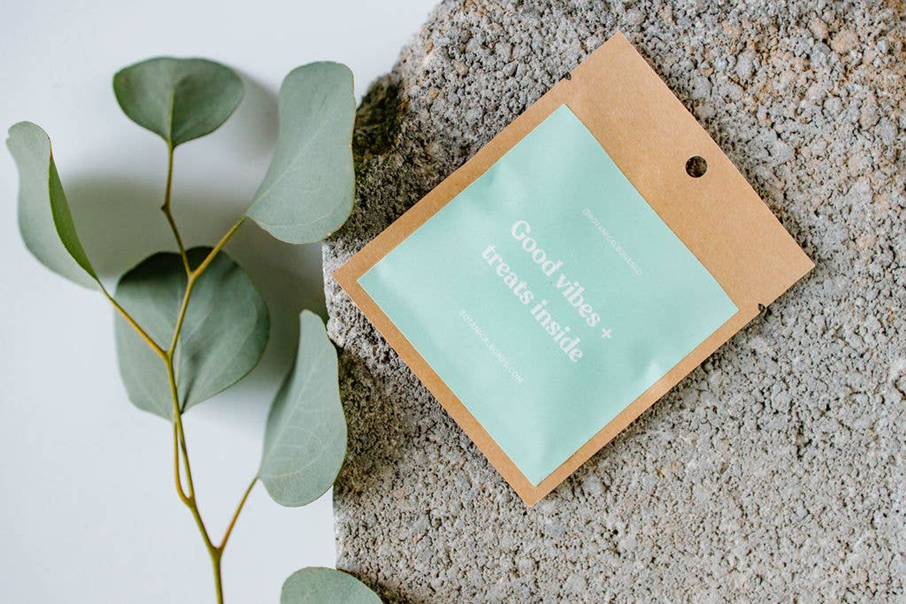 Good Vibes Minis - Superfood Dog Gift Packs Image 1
