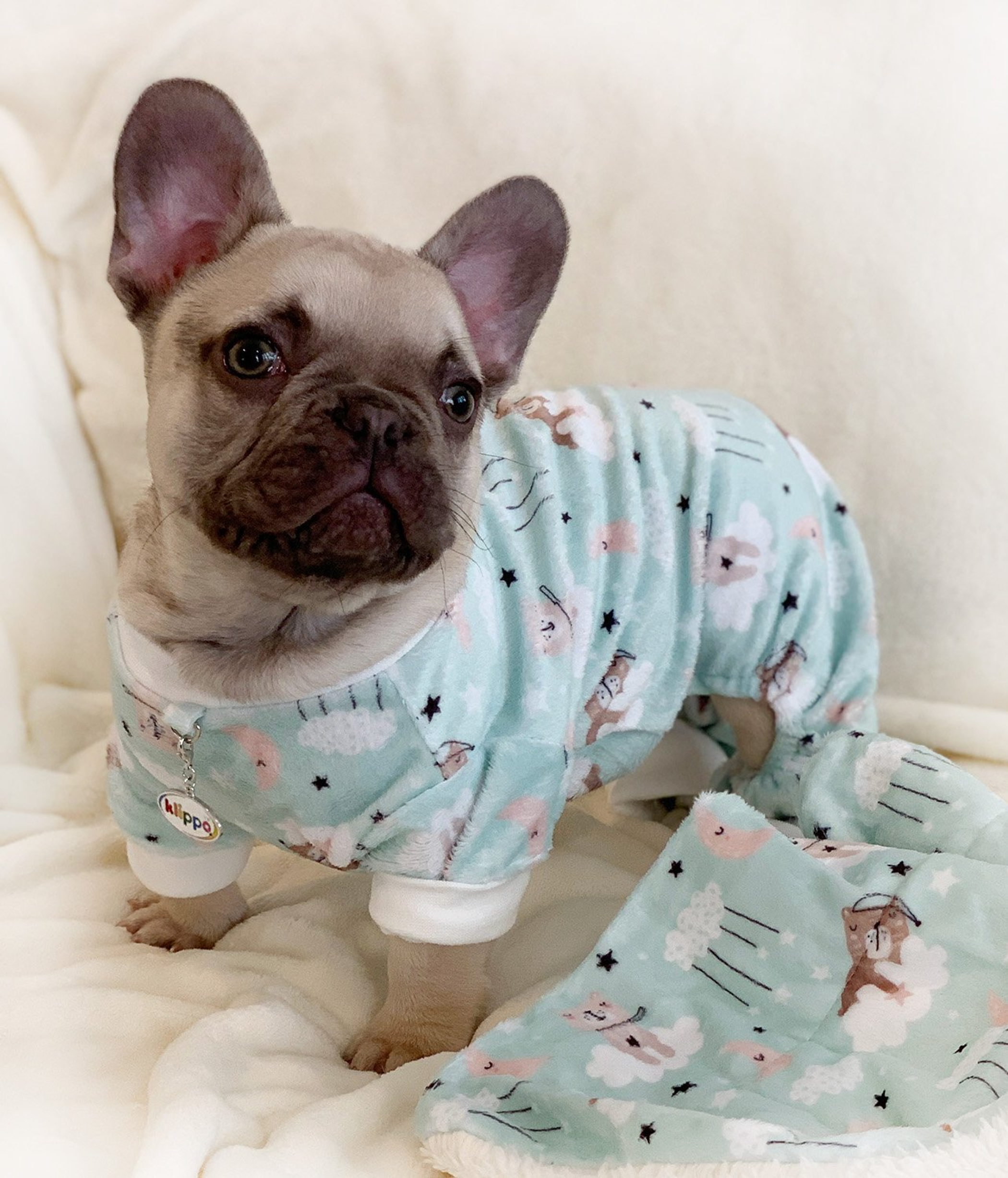 Ultra Soft Plush Minky Bedtime Bears Pajamas Image 1