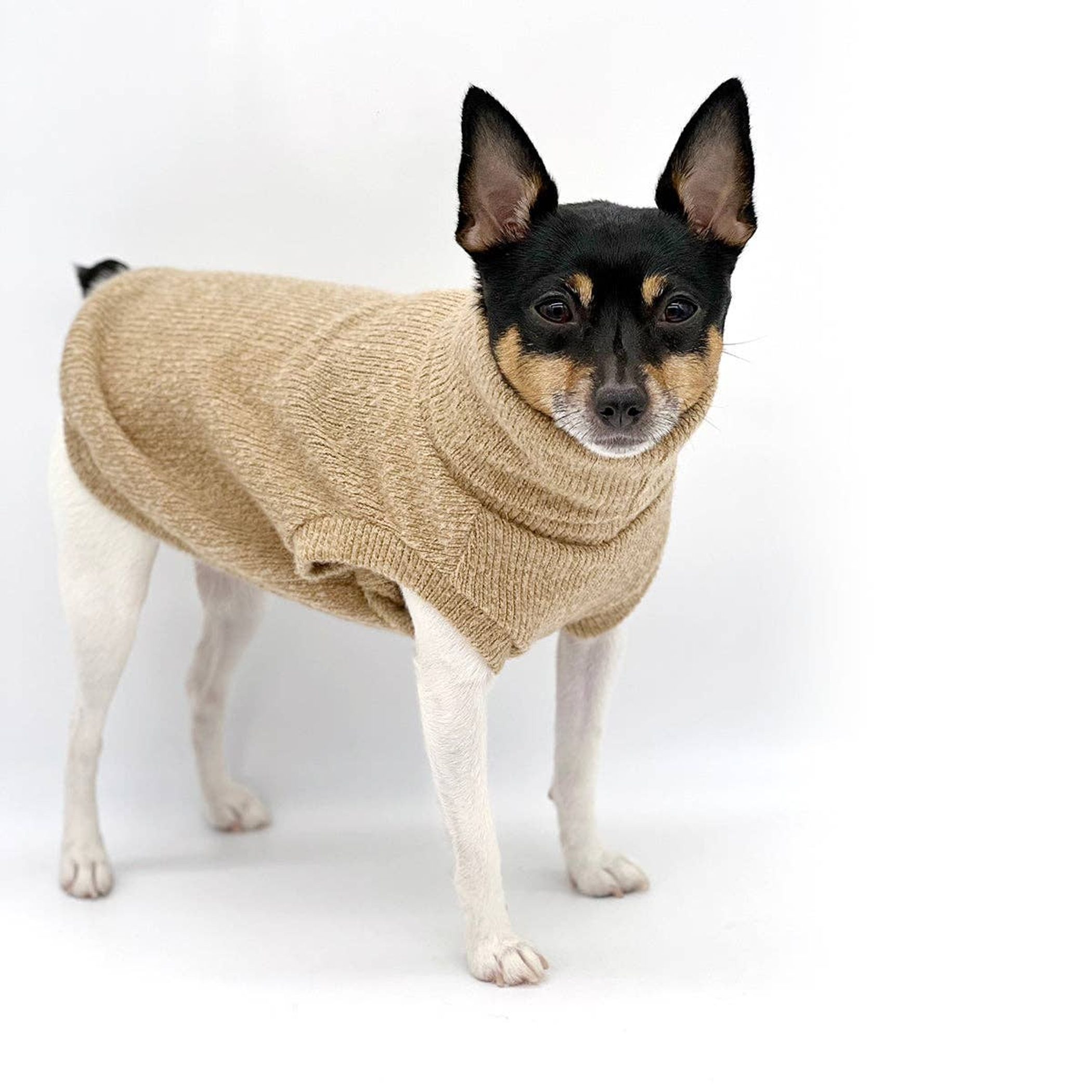 DCNY Cafe Latte Sweater Image 1