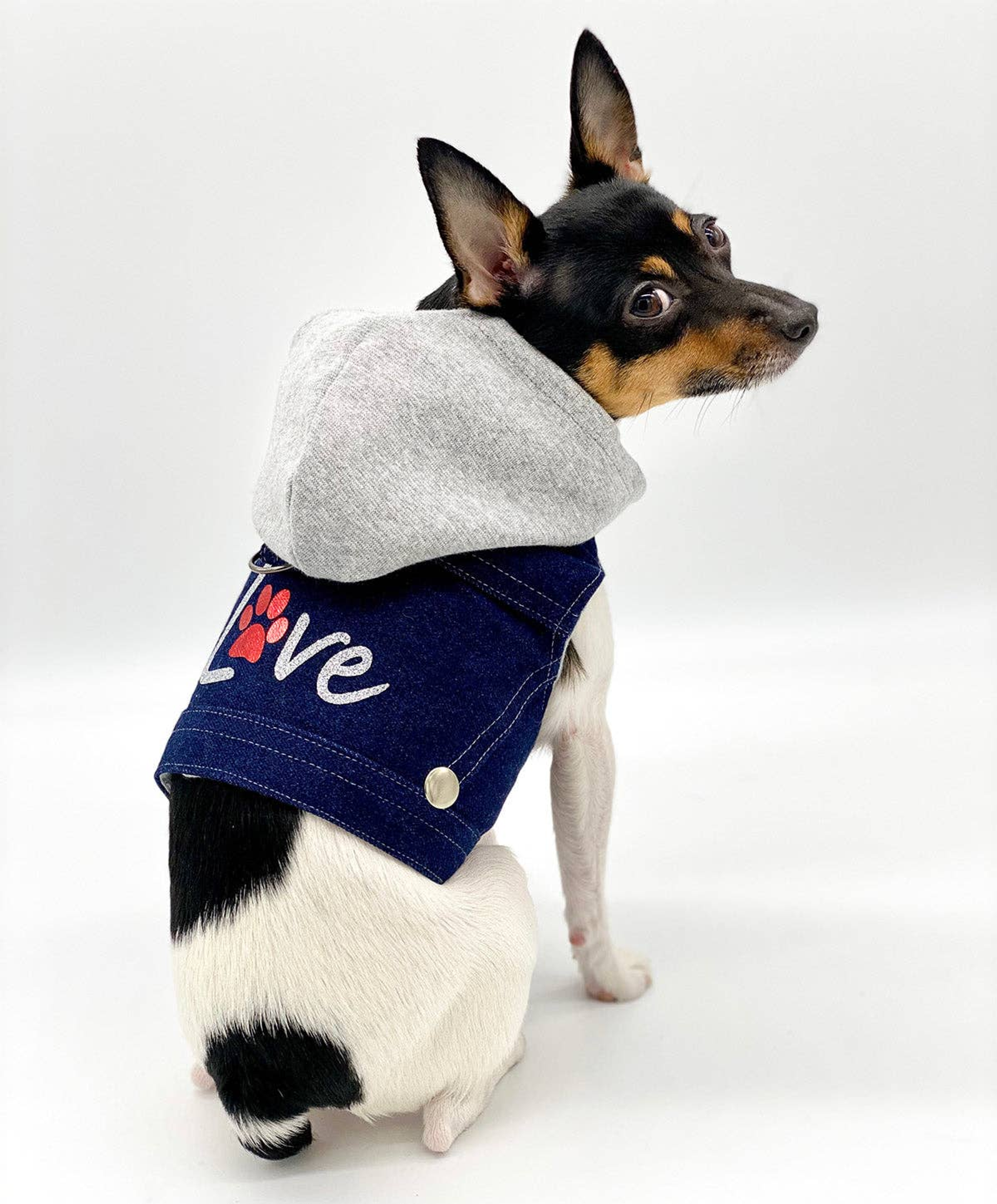 Denim Hoodie 