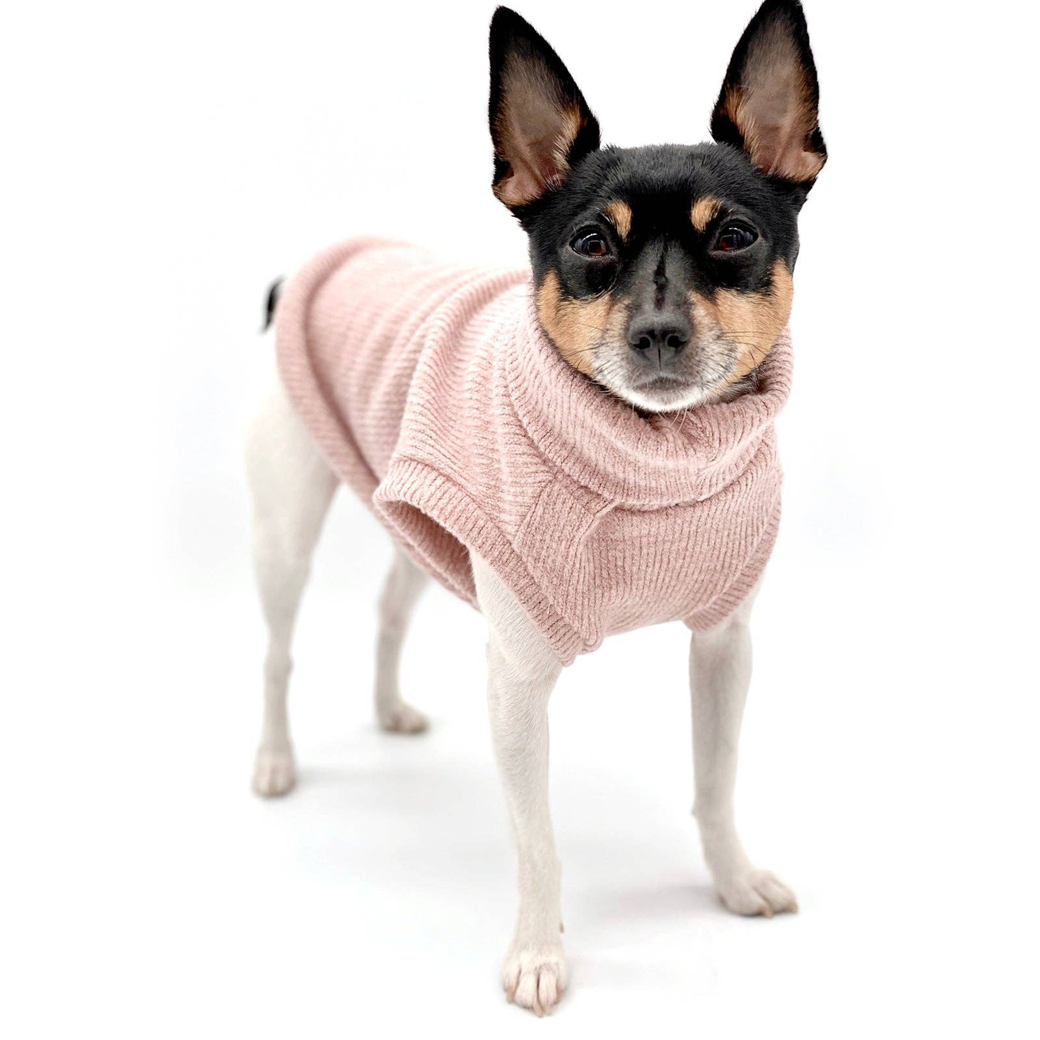 DCNY Pretty In Pink Sweater Image 1