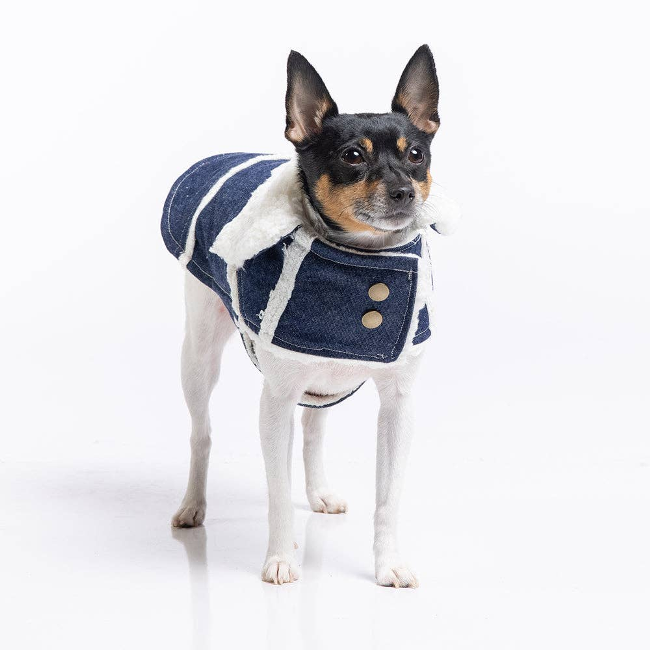 DCNY Ranch Coat Image 1