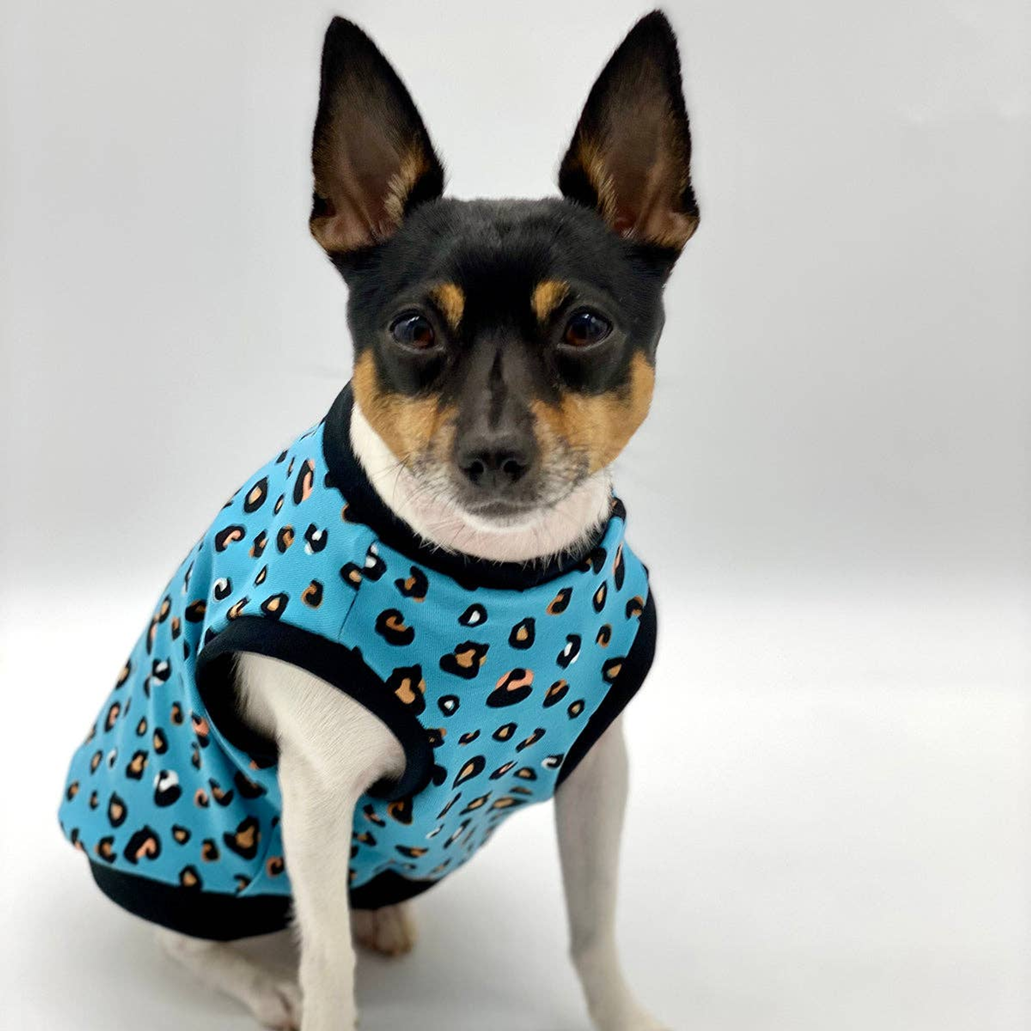 DCNY Teal Leopard Print Tank - Limited Edition Image 1